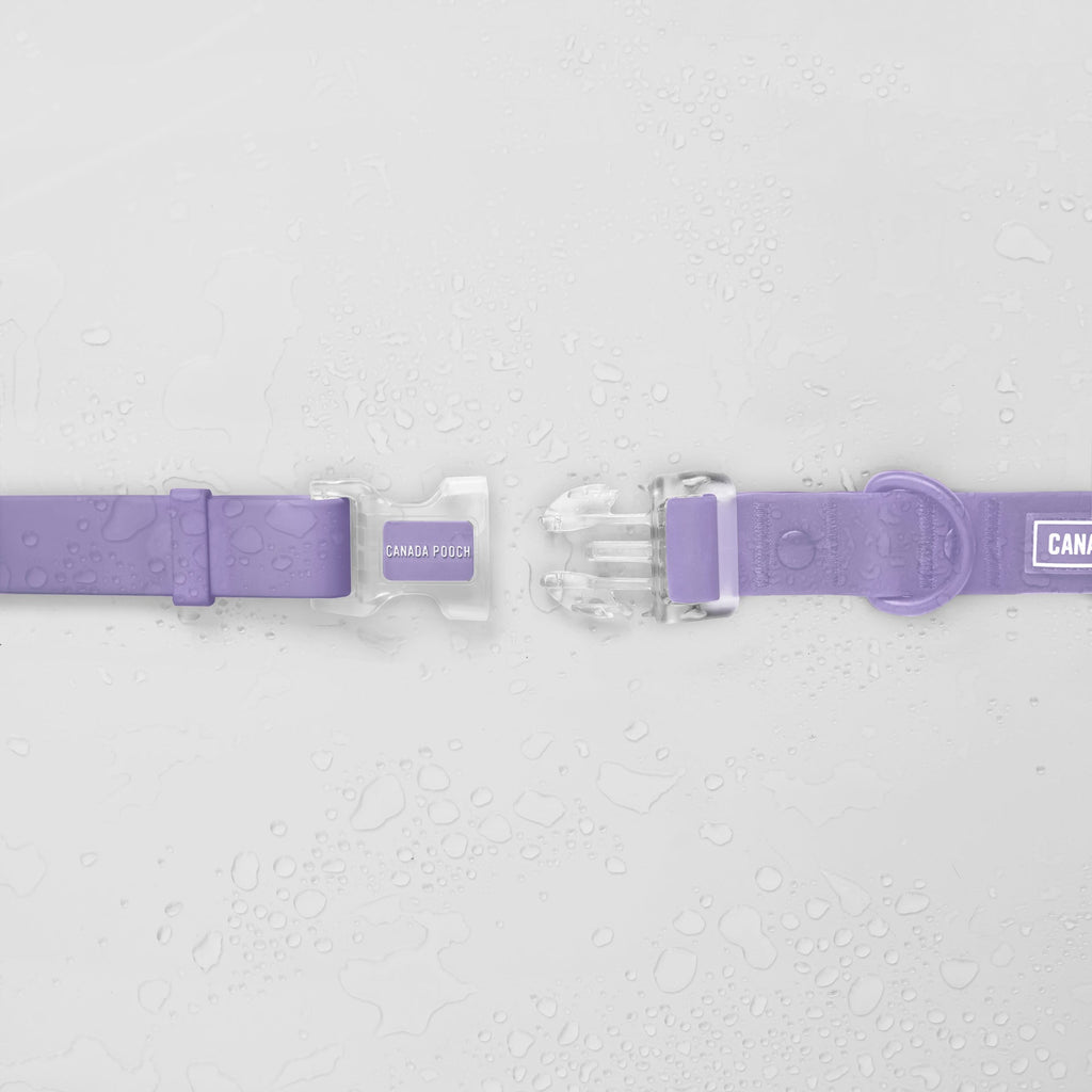 Waterproof Collar - 074P