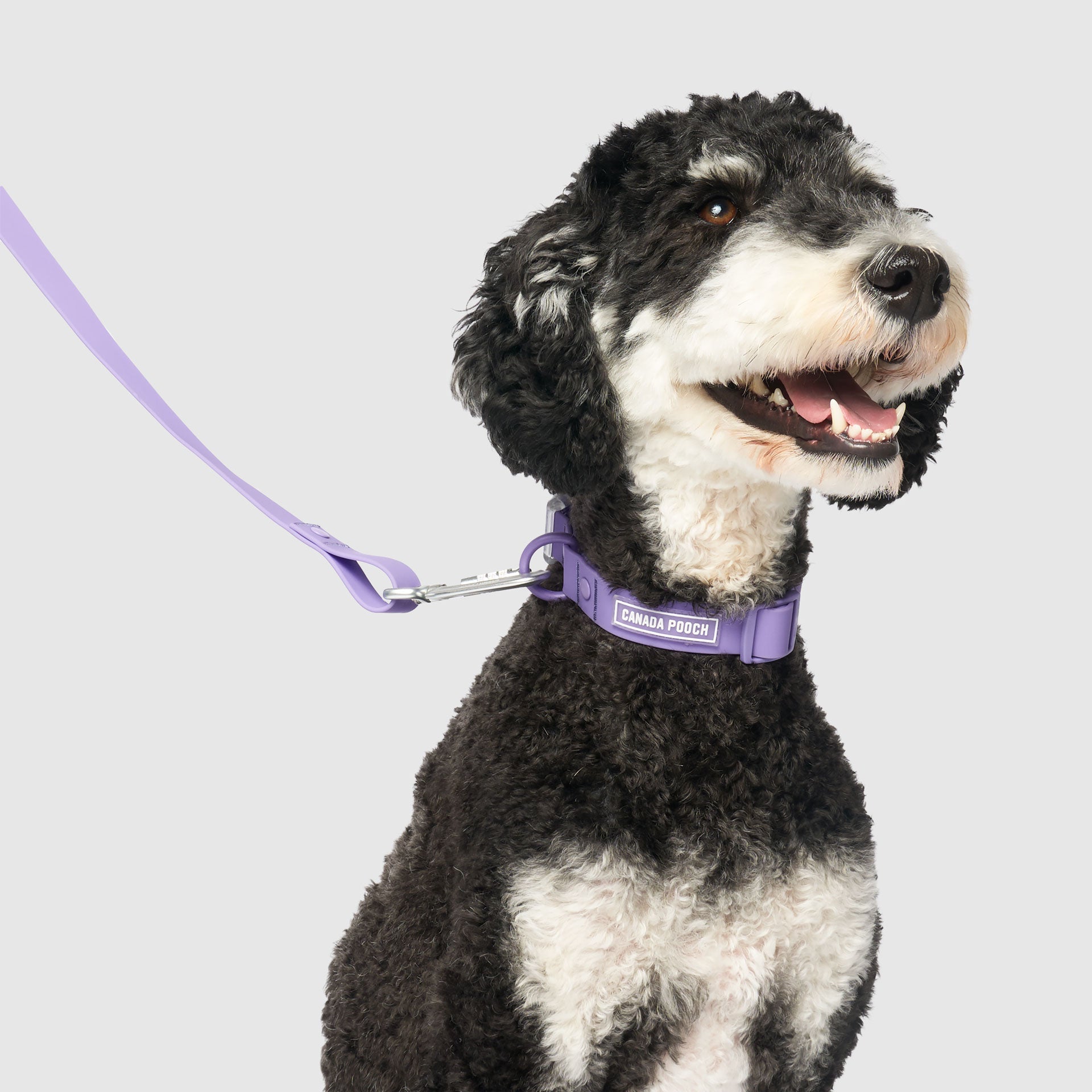Waterproof Collar - 074P