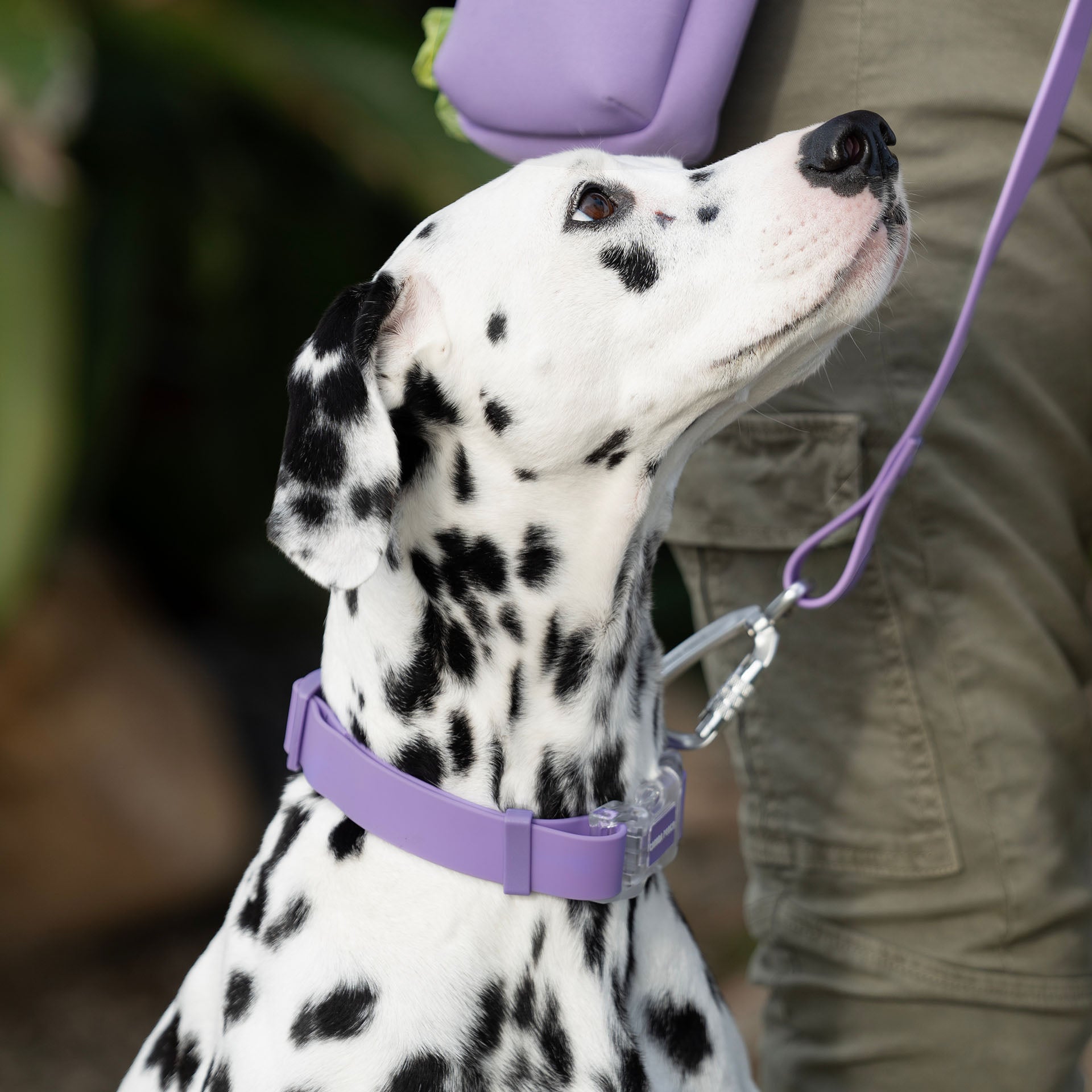 Waterproof Collar - 074P