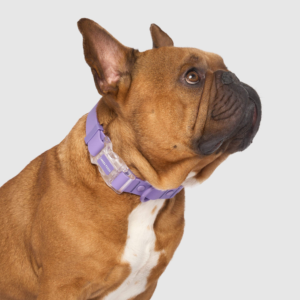 Waterproof Collar - 074P