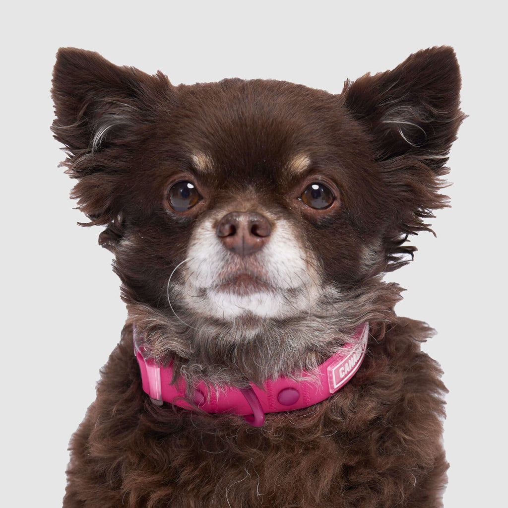 Waterproof Collar - 074P