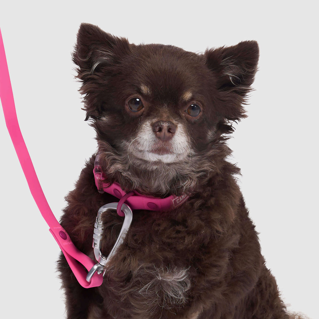 Waterproof Collar - 074P