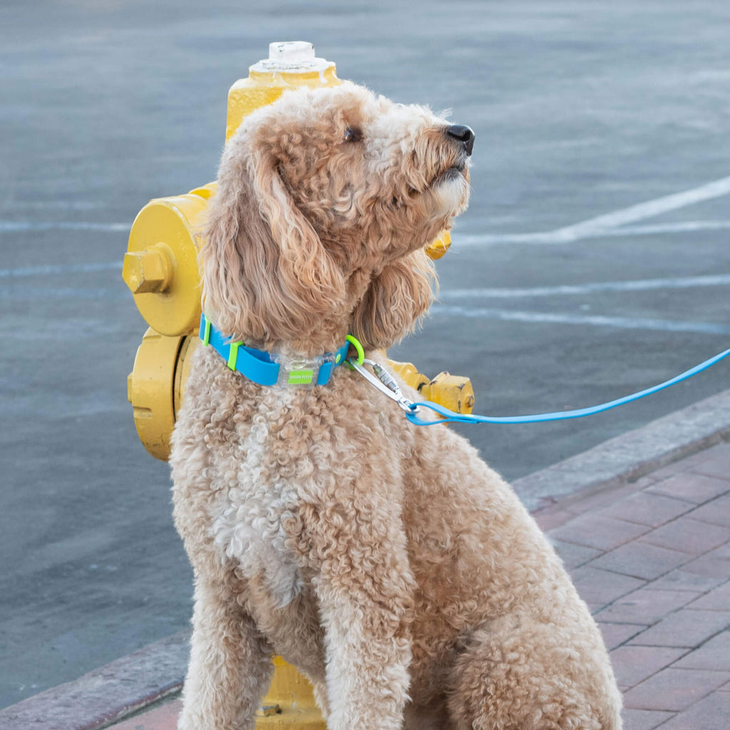 Waterproof Collar - 074P