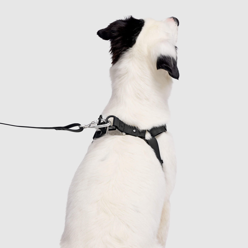Waterproof Harness - A67I