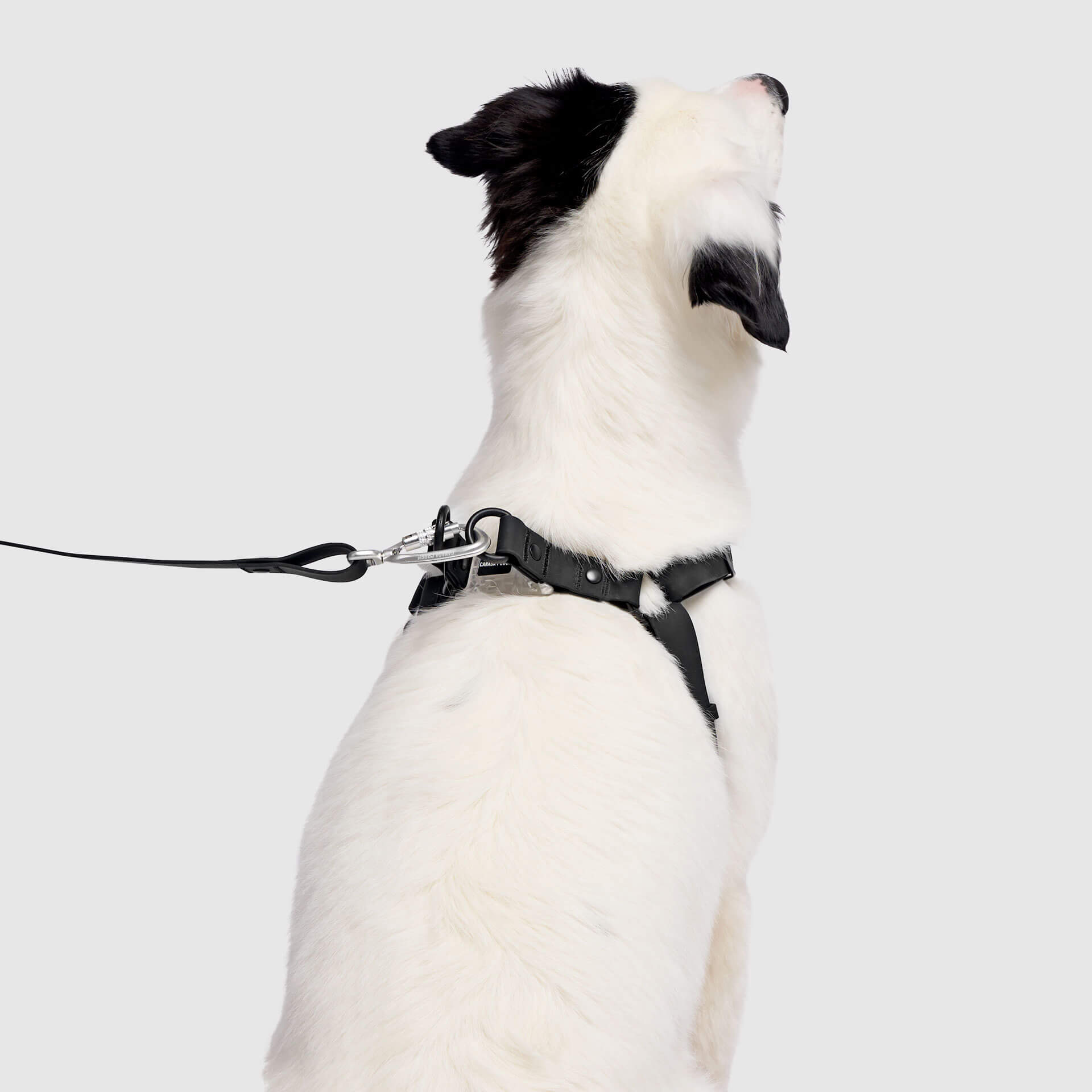 Waterproof Harness - A67I