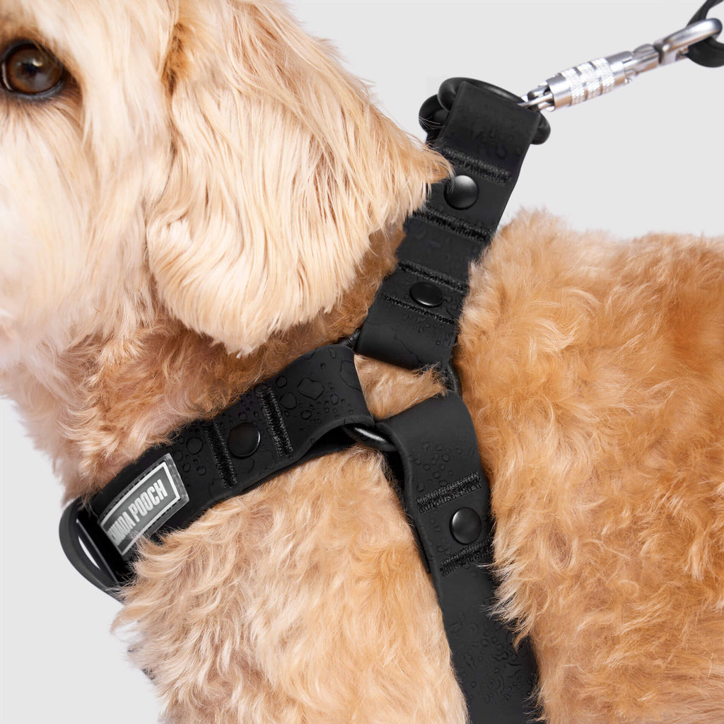 Waterproof Harness - A67I