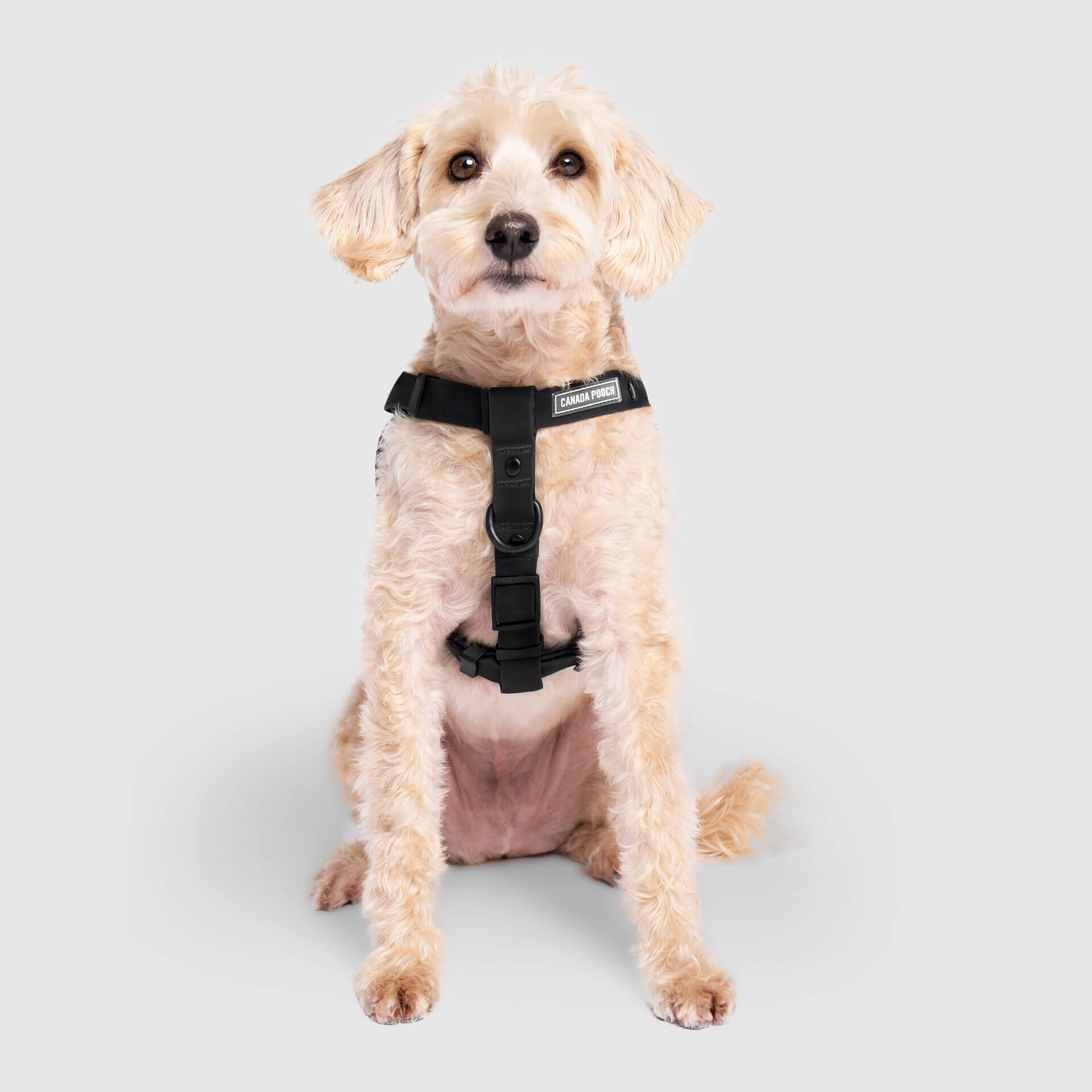 Waterproof Harness - A67I
