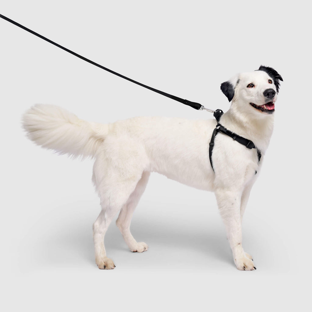 Waterproof Harness - A67I