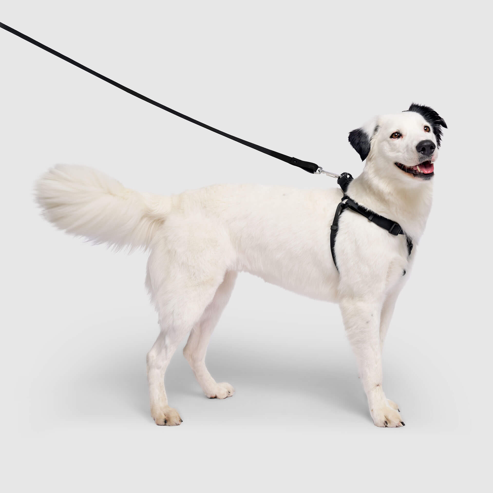 Waterproof Harness - A67I