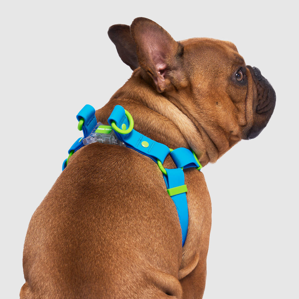 Waterproof Harness - A67I