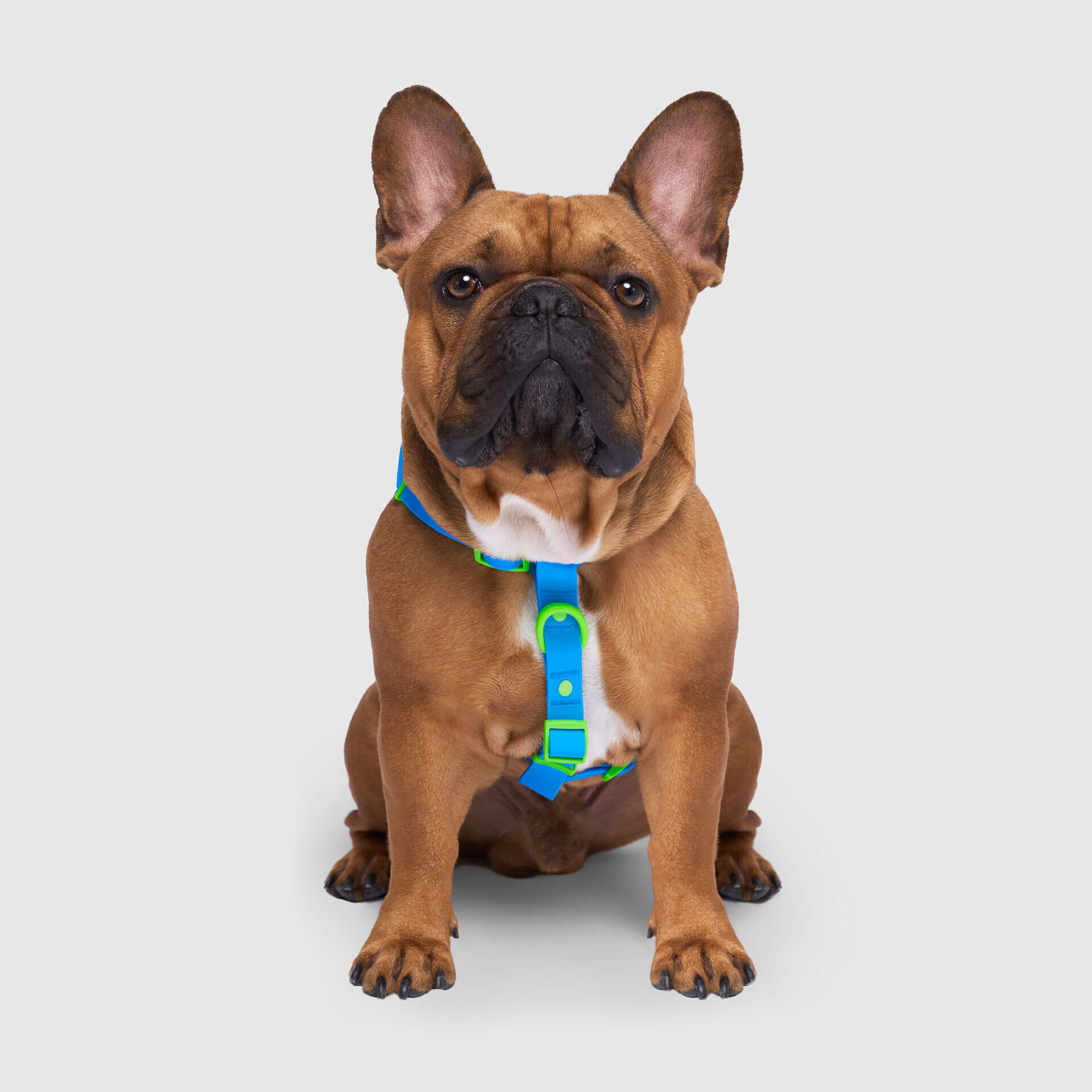Waterproof Harness - A67I