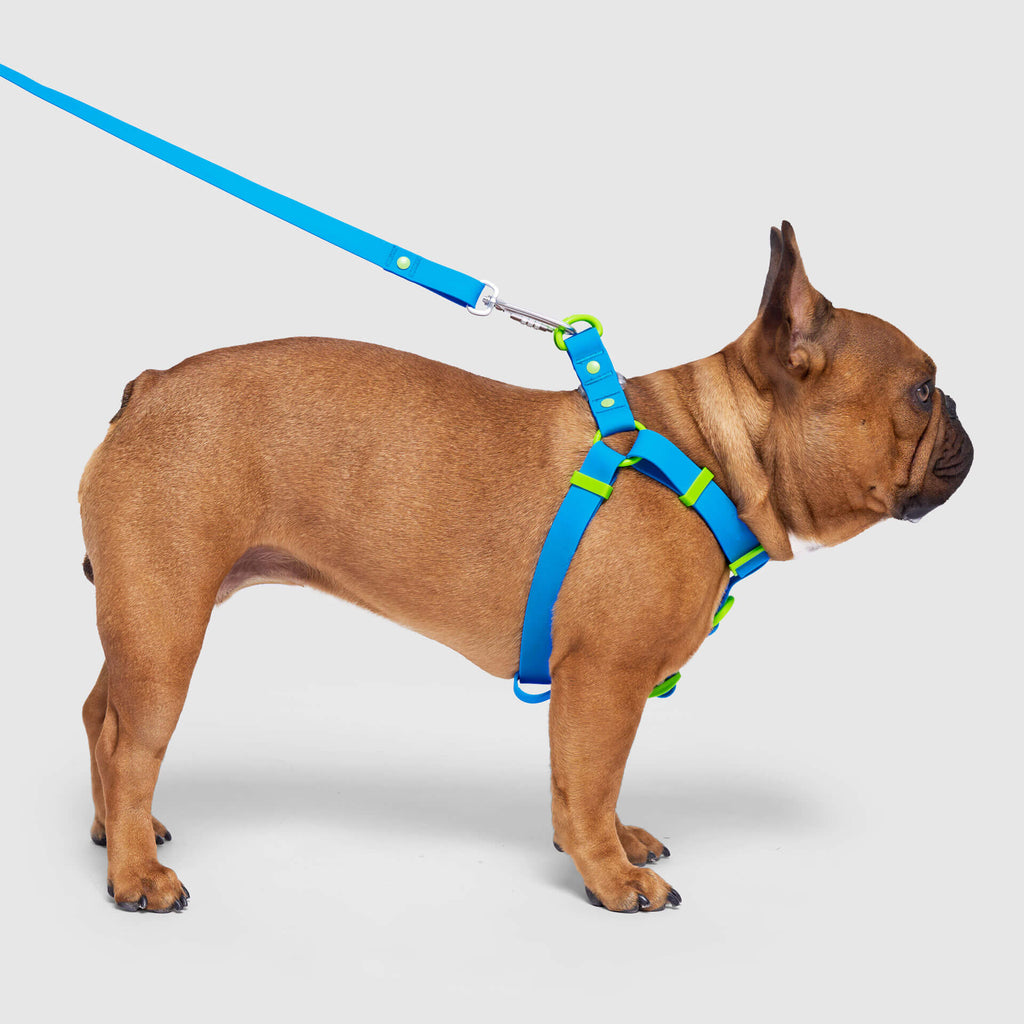 Waterproof Harness - A67I