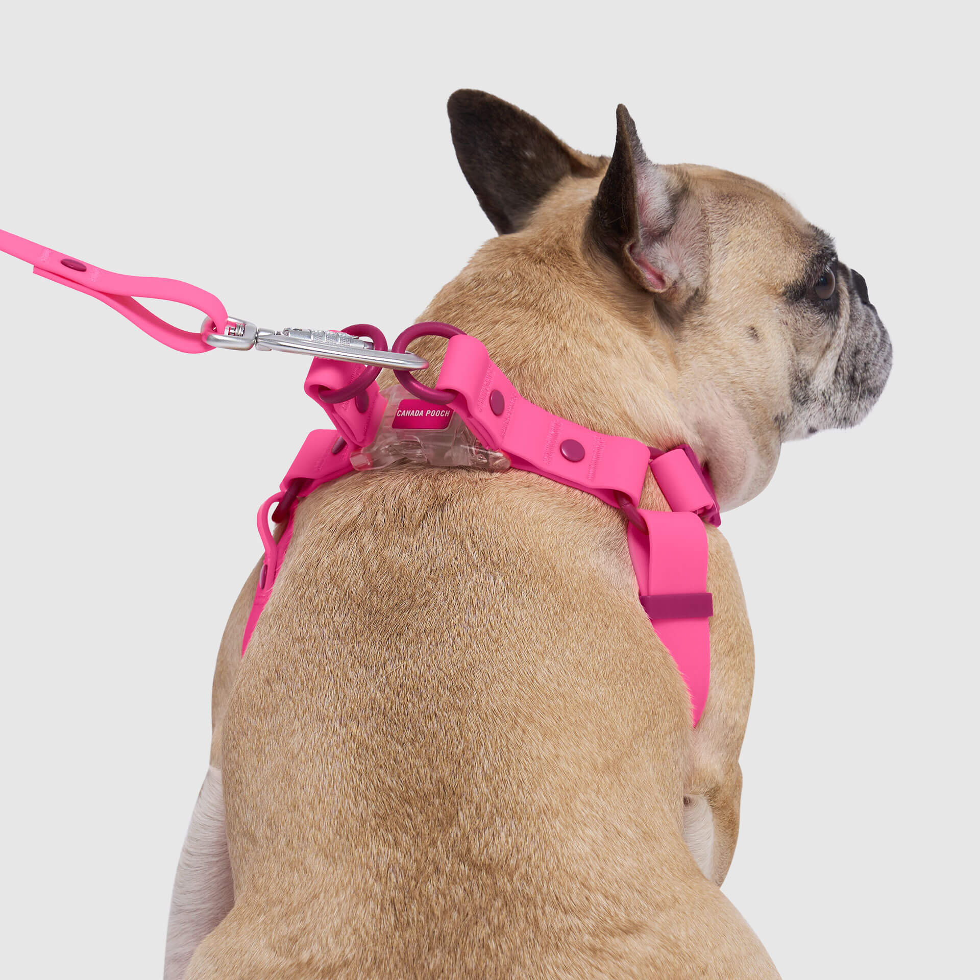 Waterproof Harness - A67I