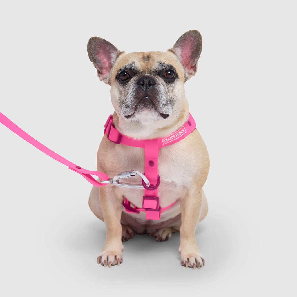 Waterproof Harness - A67I