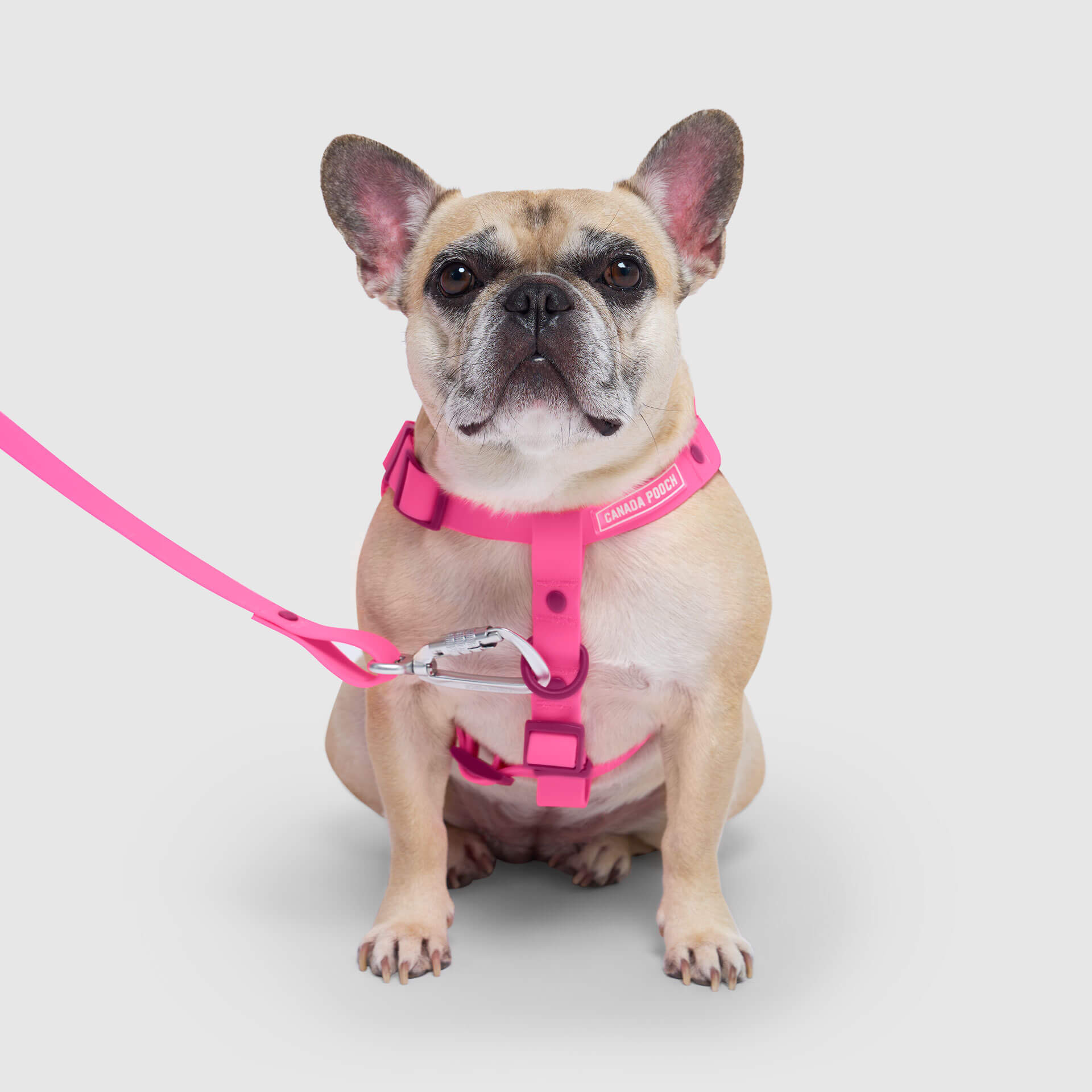 Waterproof Harness - A67I