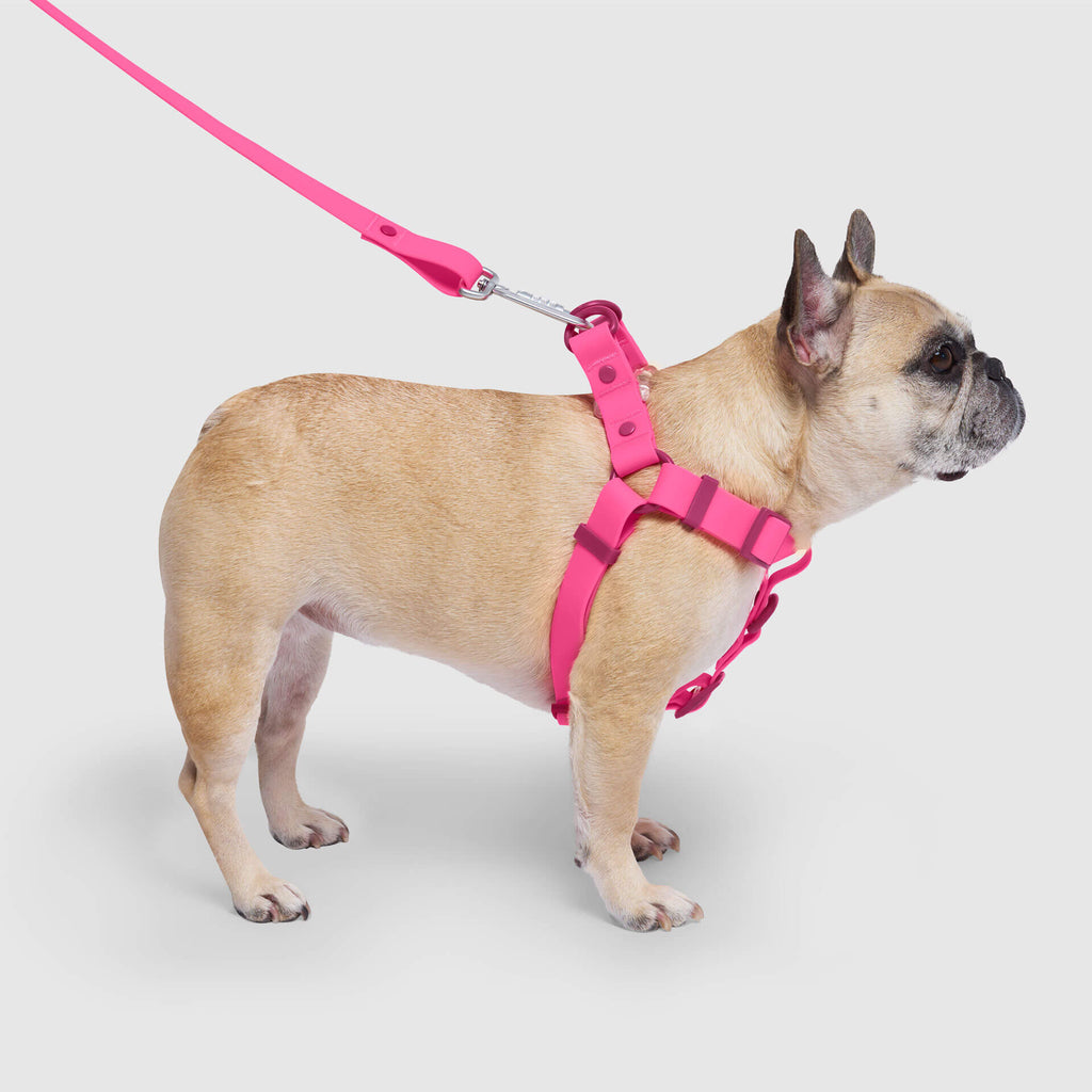 Waterproof Harness - A67I