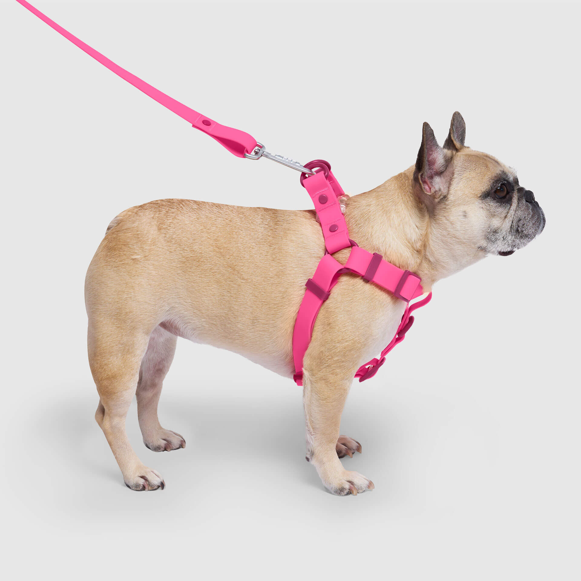 Waterproof Harness - A67I