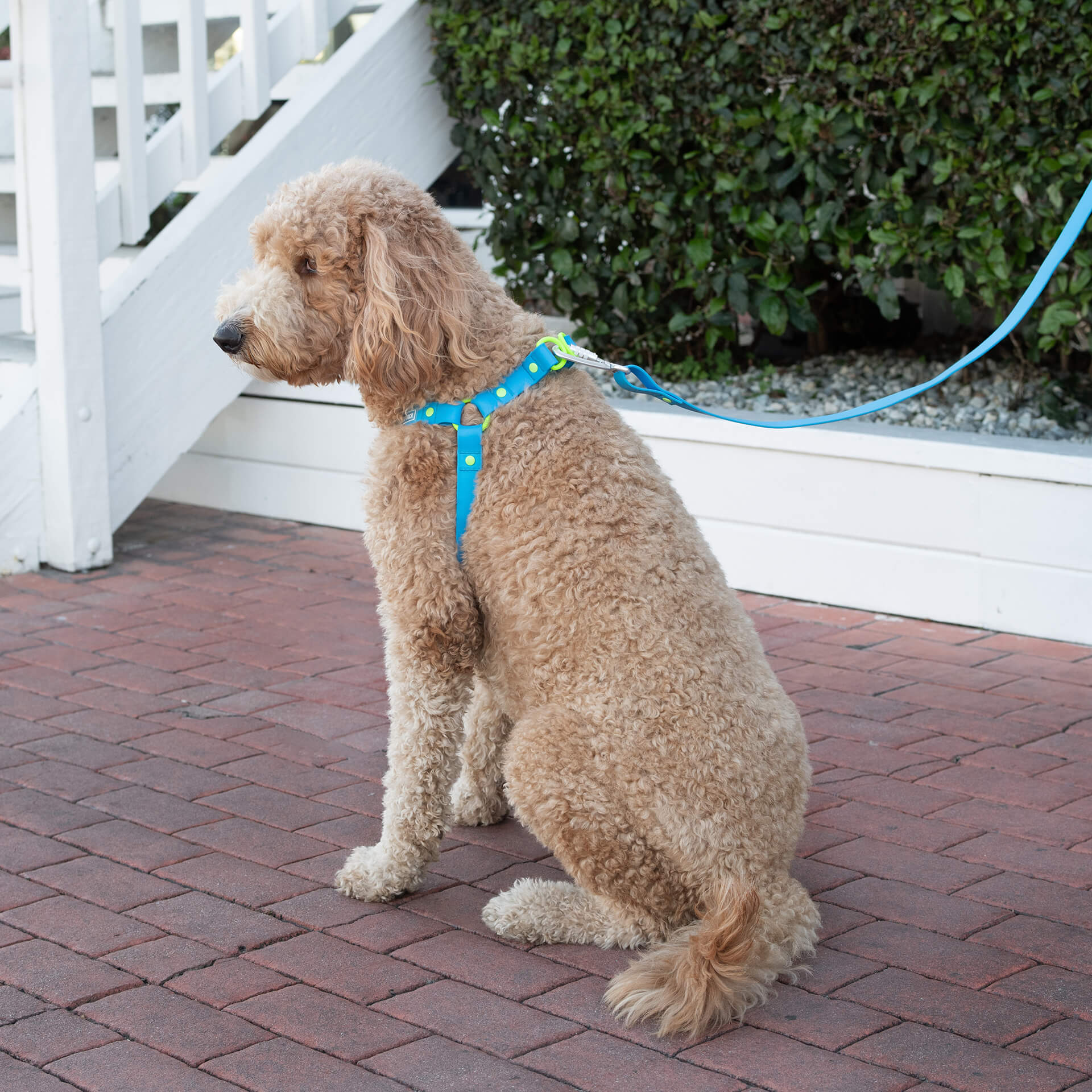 Waterproof Harness - A67I