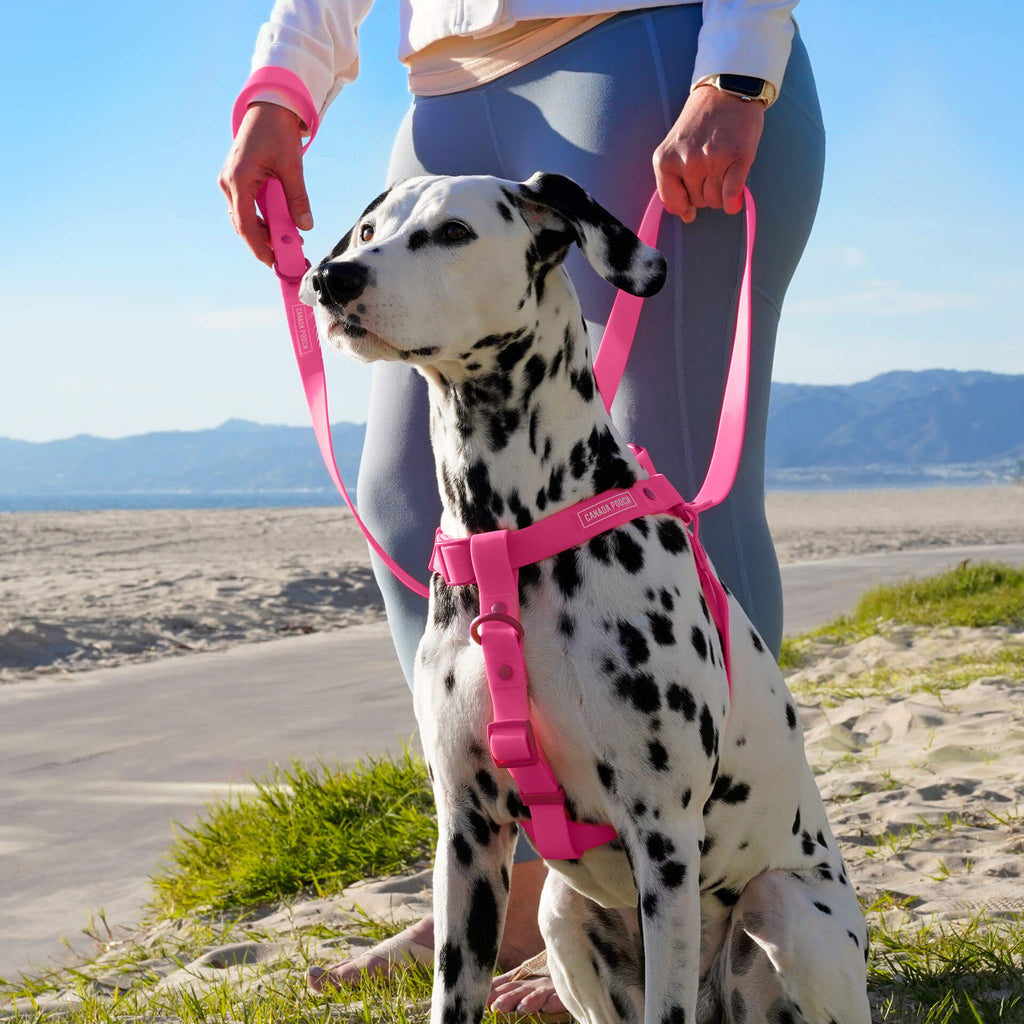 Waterproof Harness - A67I