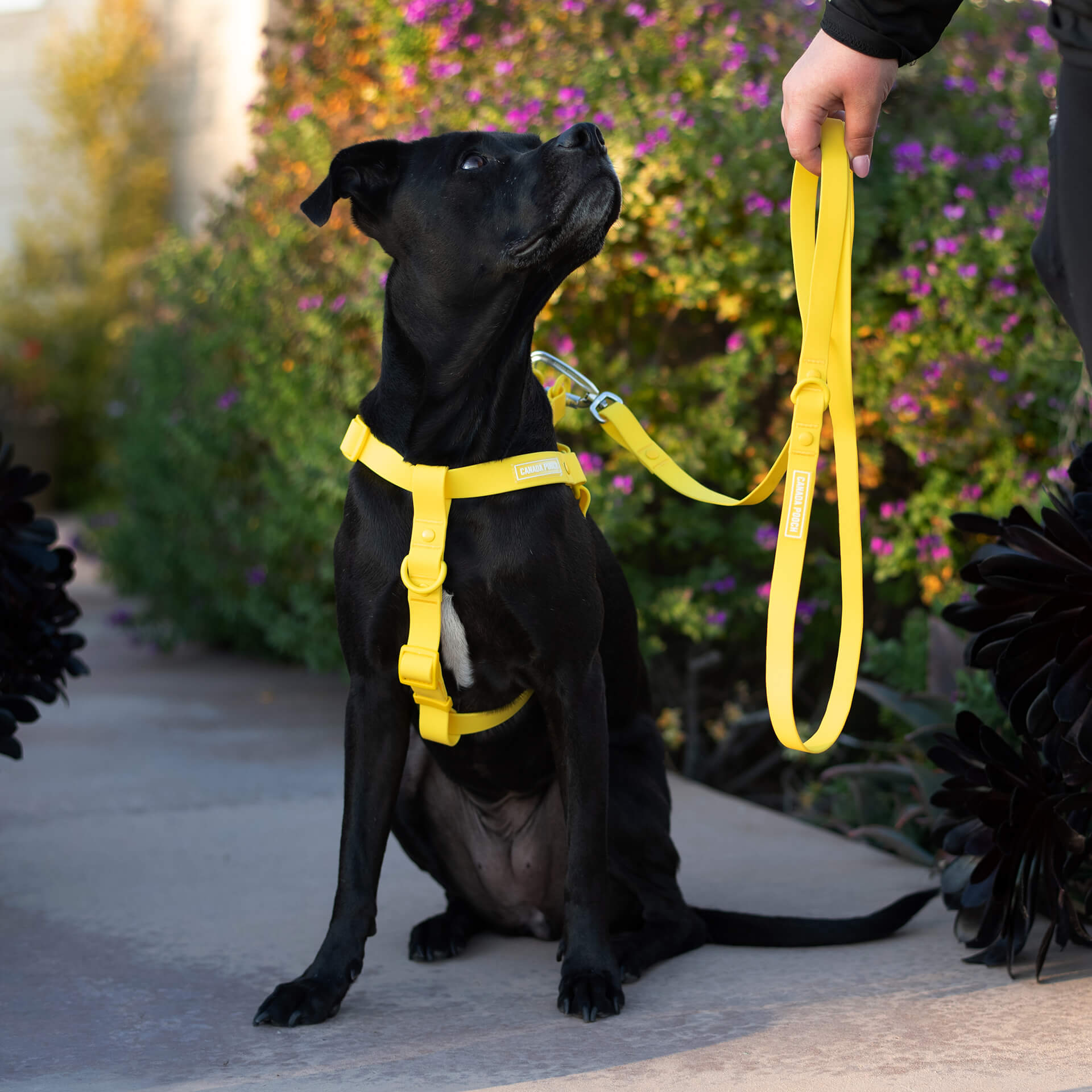 Waterproof Harness - A67I