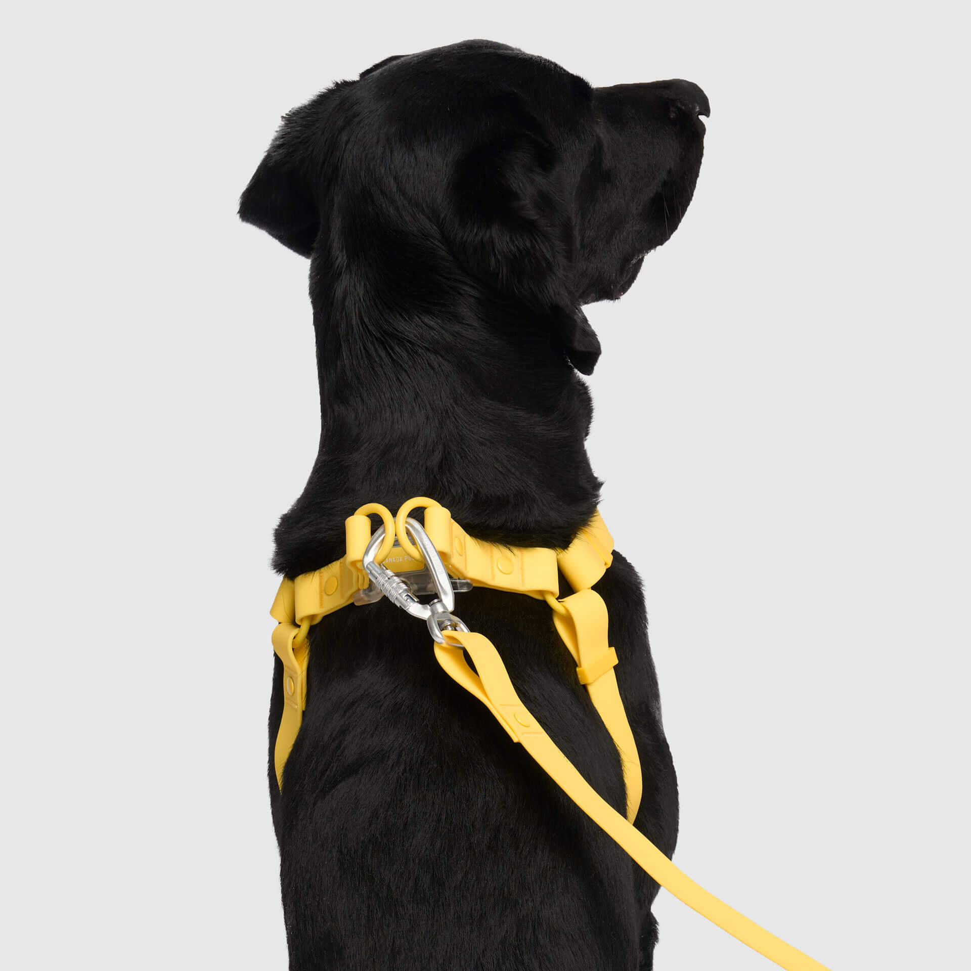 Waterproof Harness - A67I