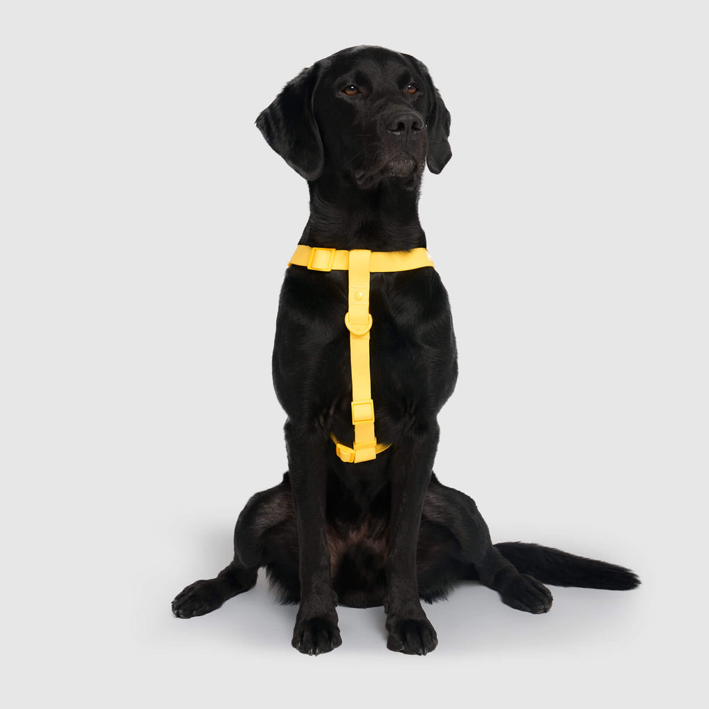 Waterproof Harness - A67I