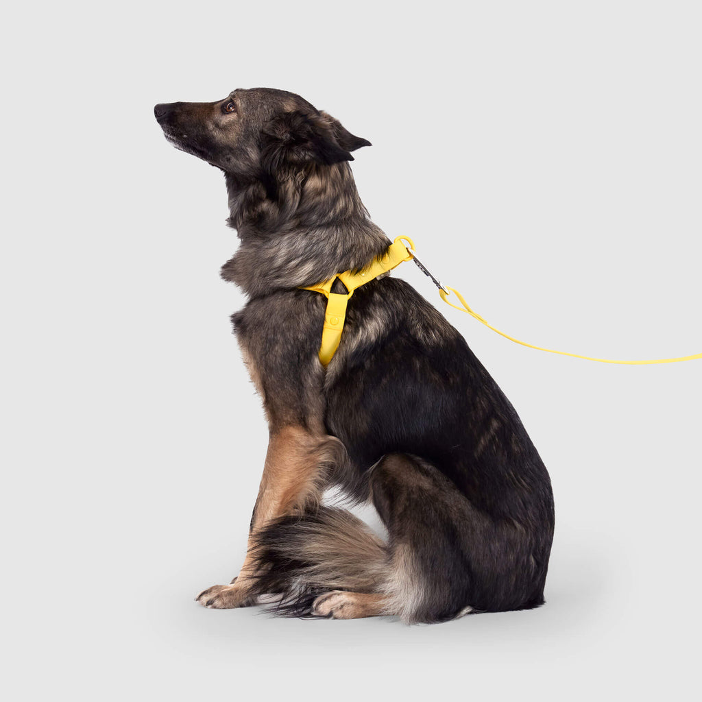 Waterproof Harness - A67I
