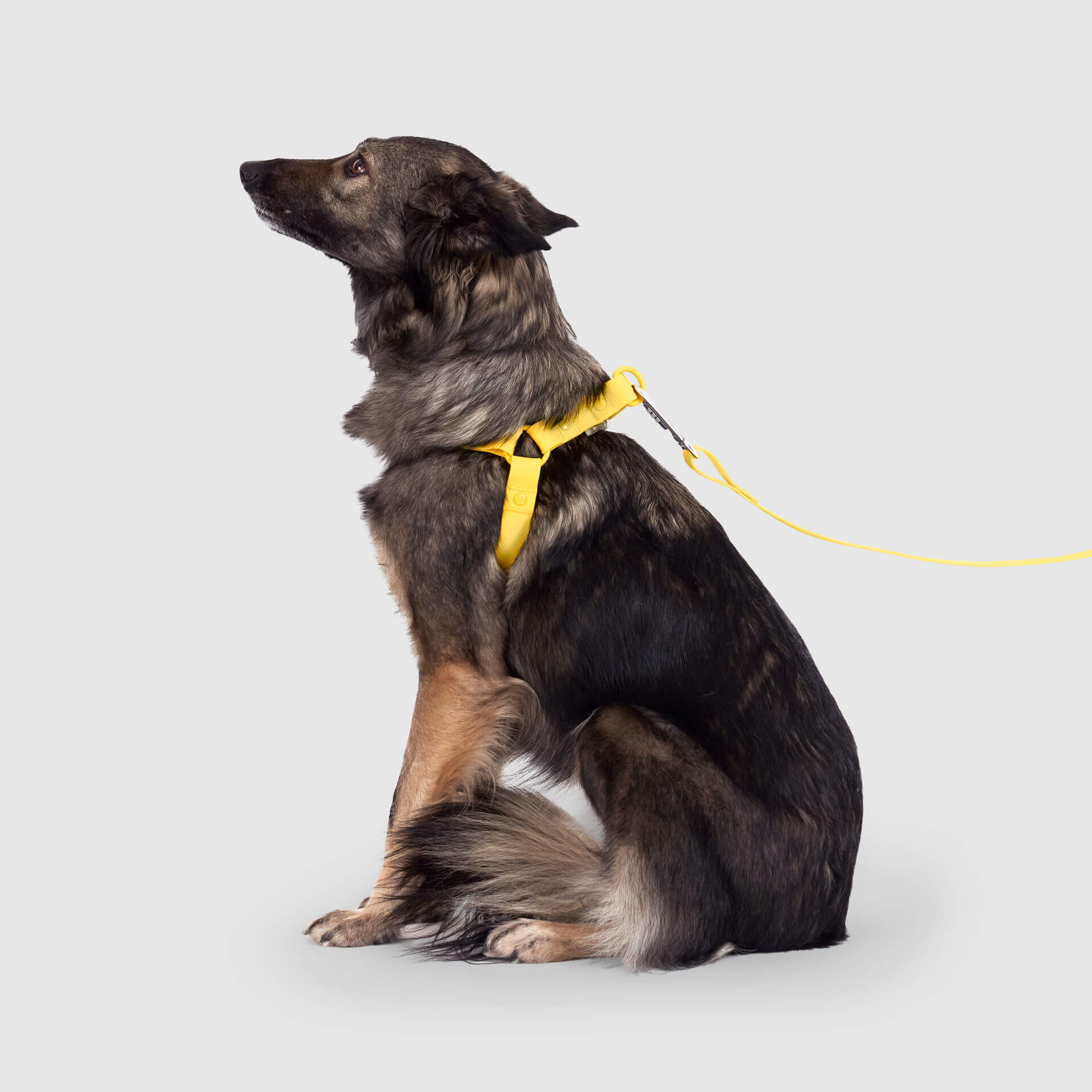 Waterproof Harness - A67I