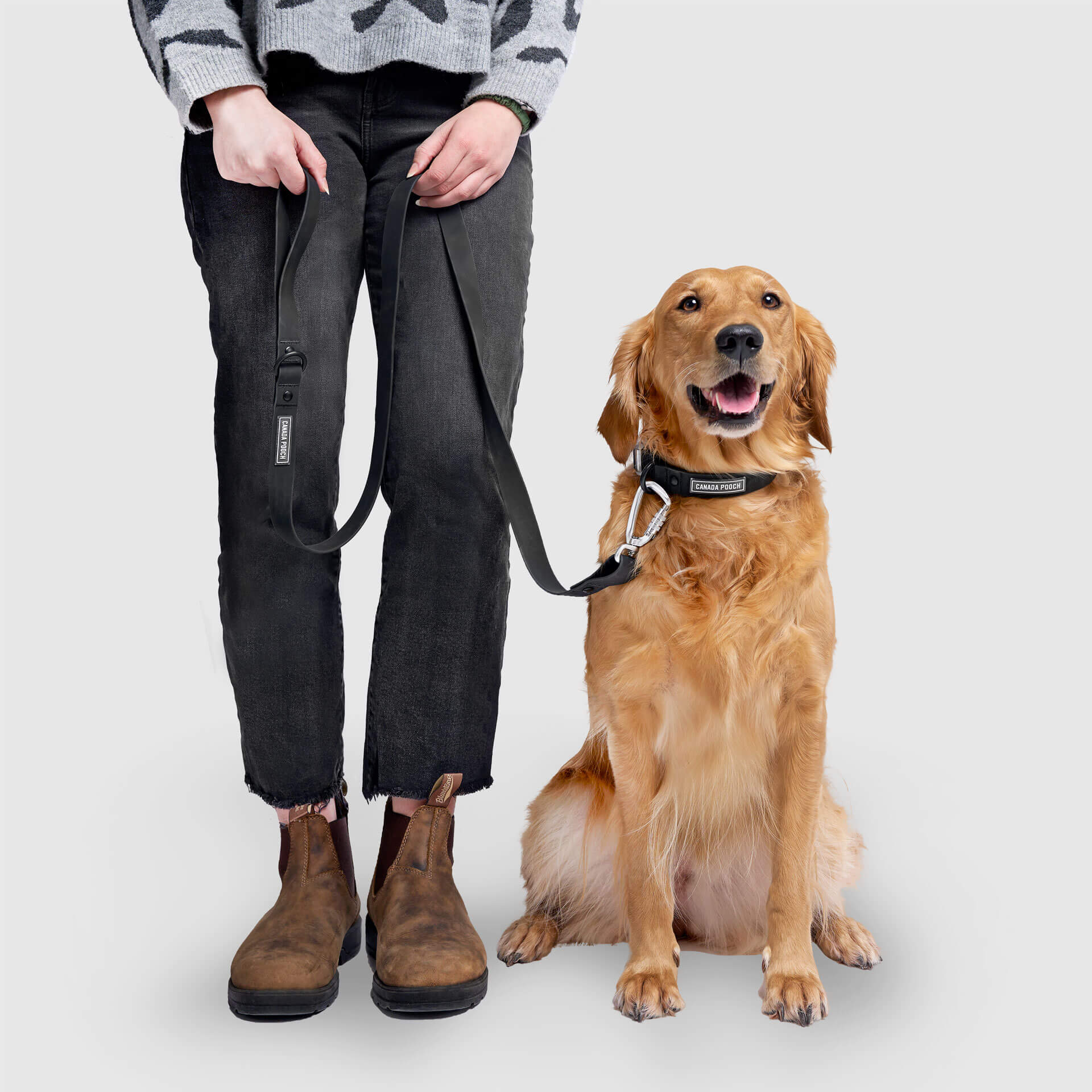 Waterproof Leash - D5IX