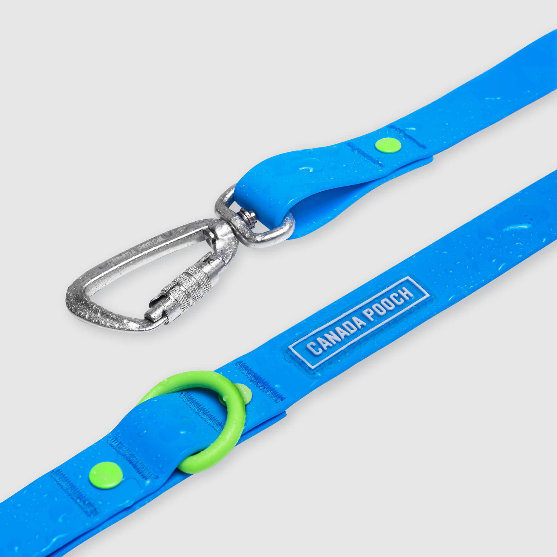 Waterproof Leash - D5IX