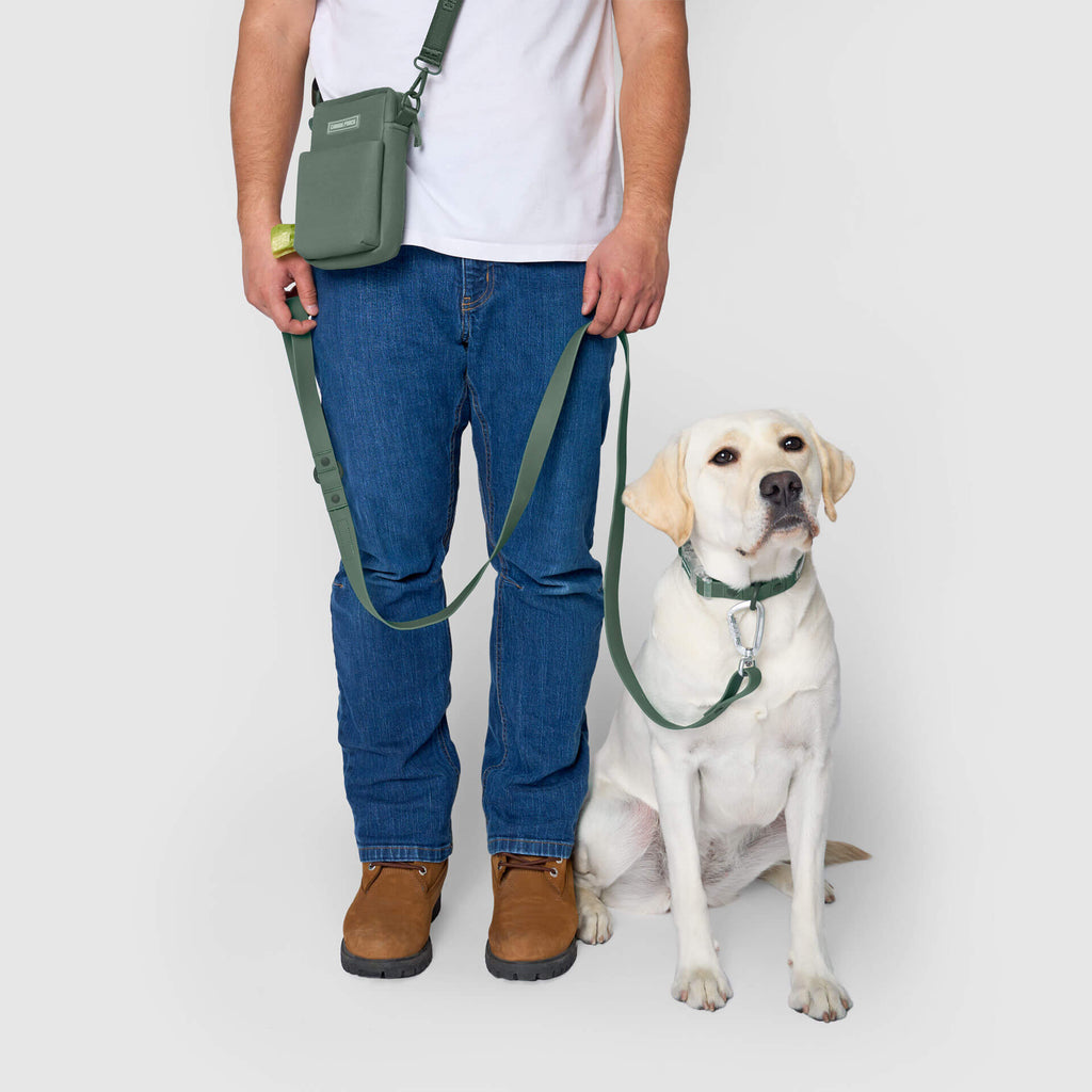 Waterproof Leash - D5IX