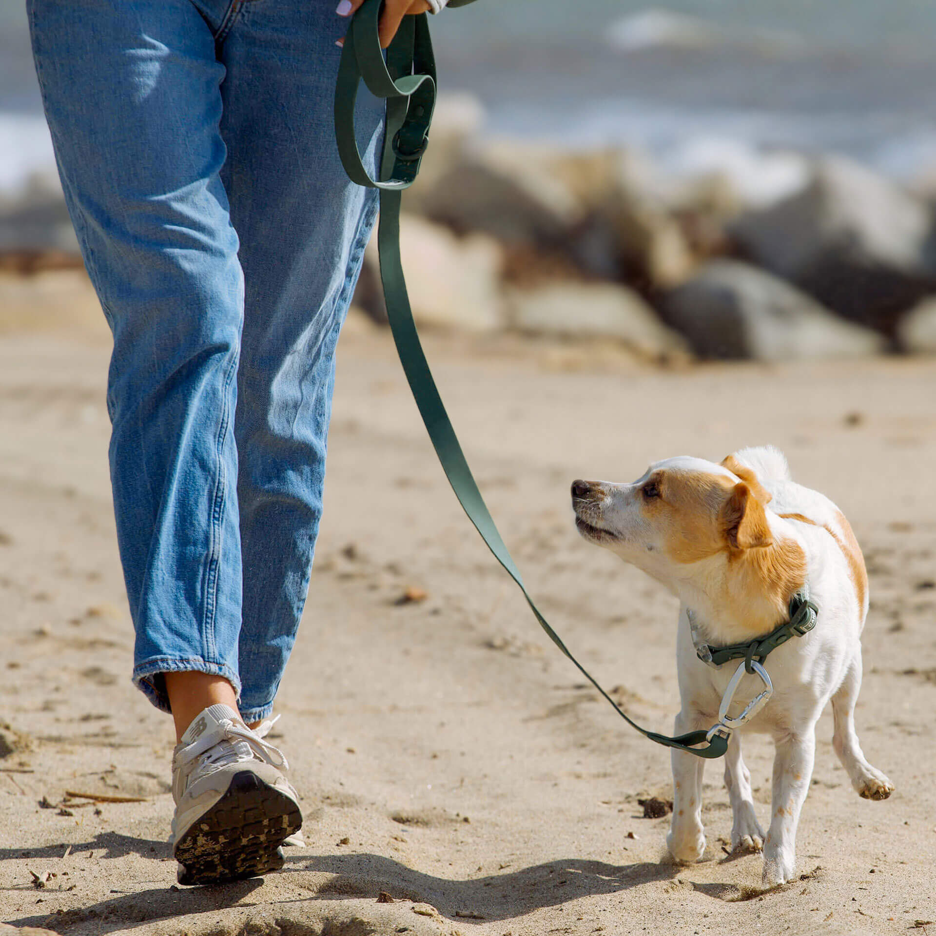 Waterproof Leash - D5IX