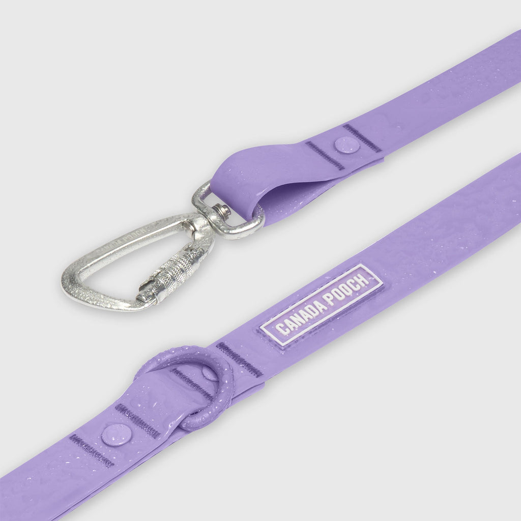 Waterproof Leash - D5IX