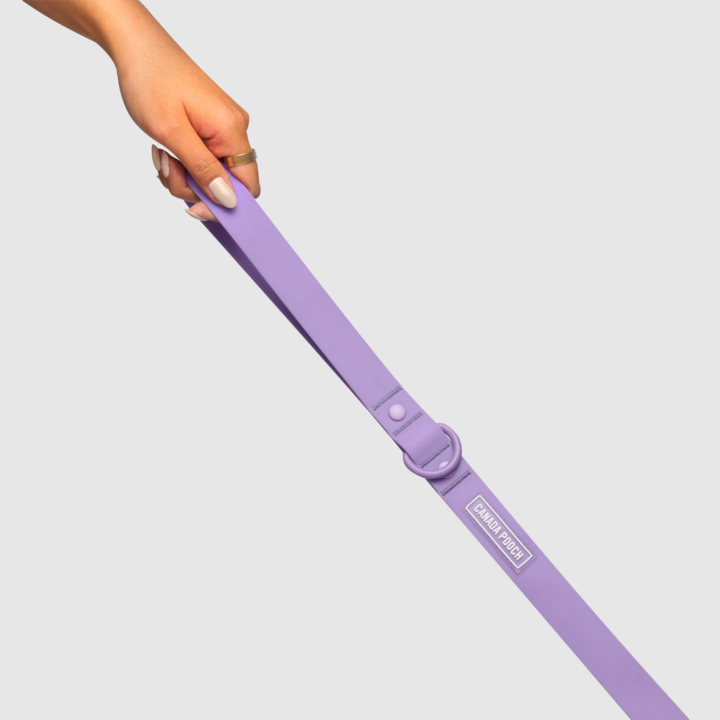 Waterproof Leash - D5IX