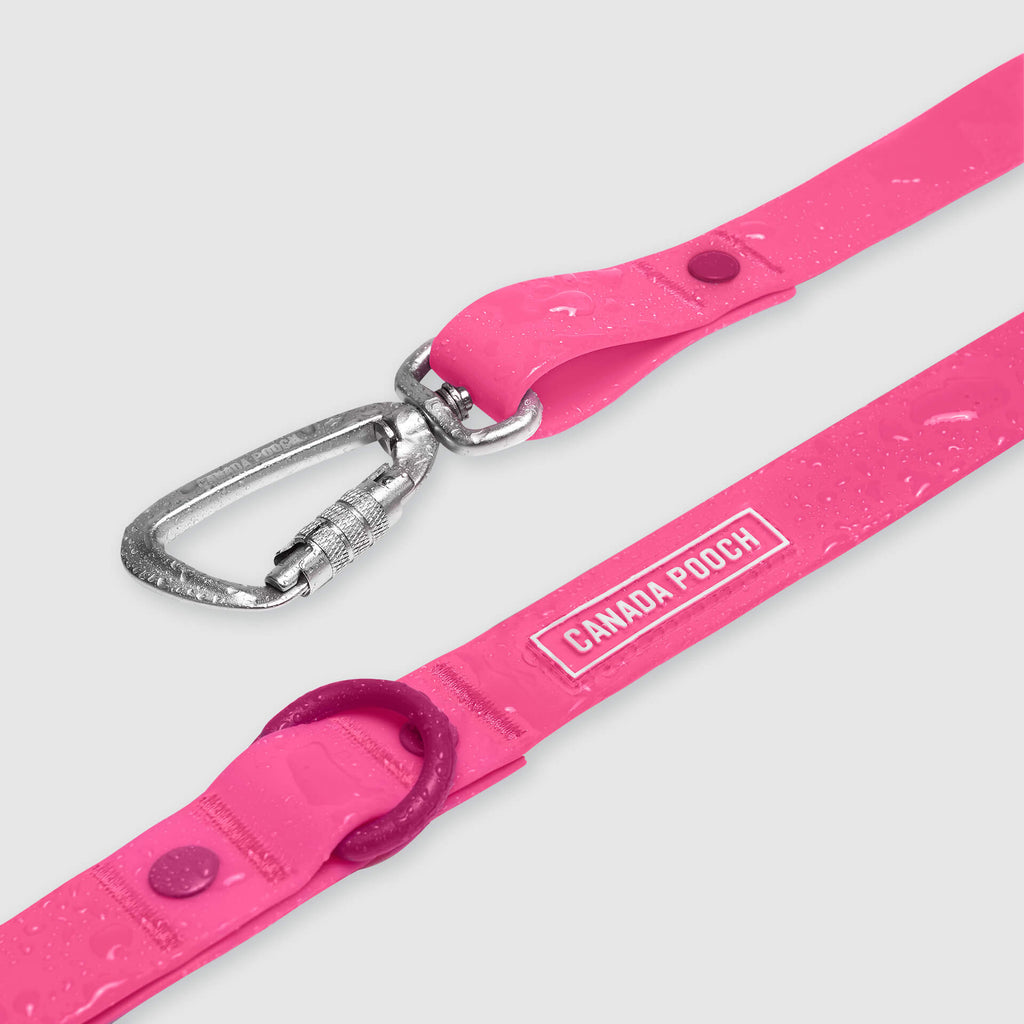 Waterproof Leash - D5IX