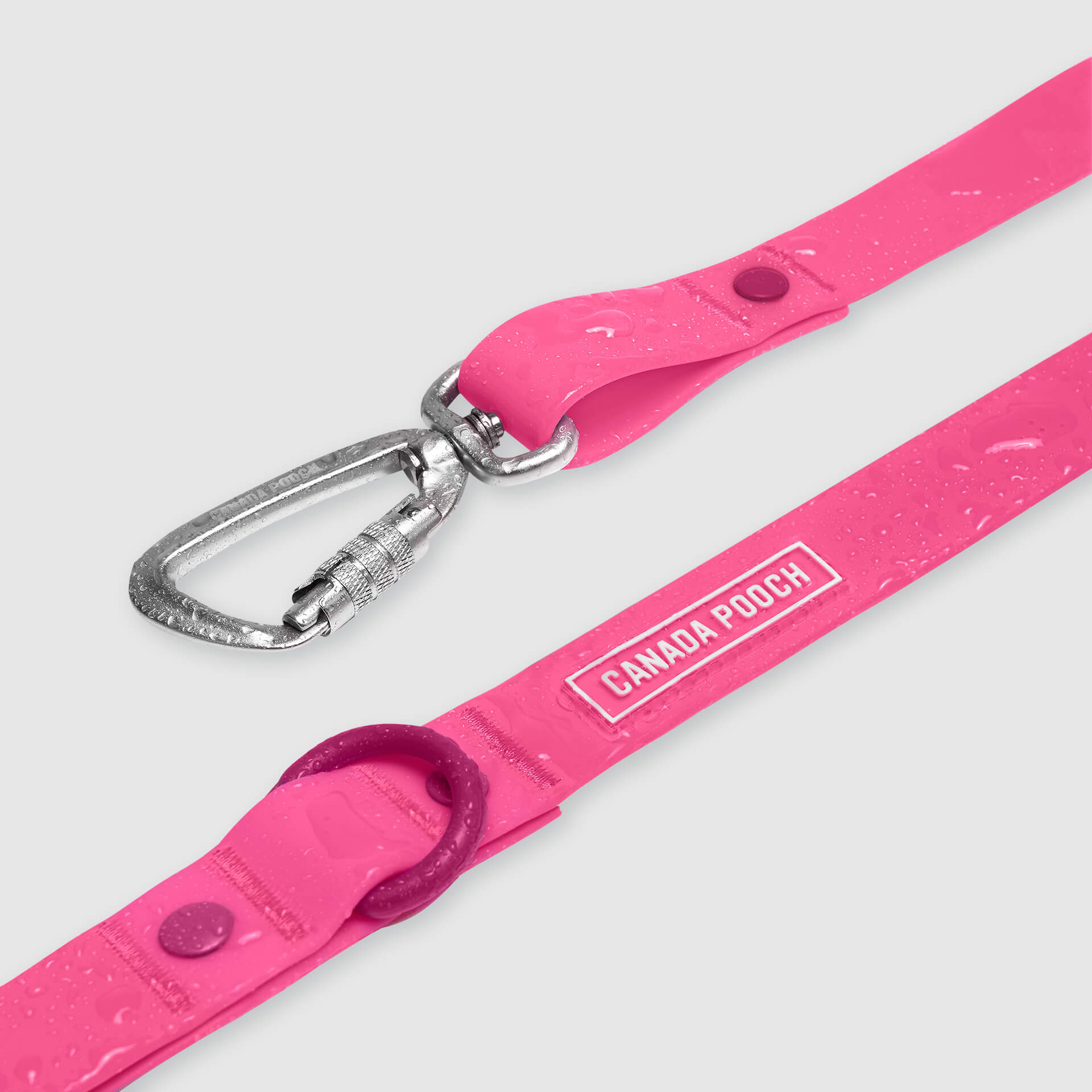 Waterproof Leash - D5IX