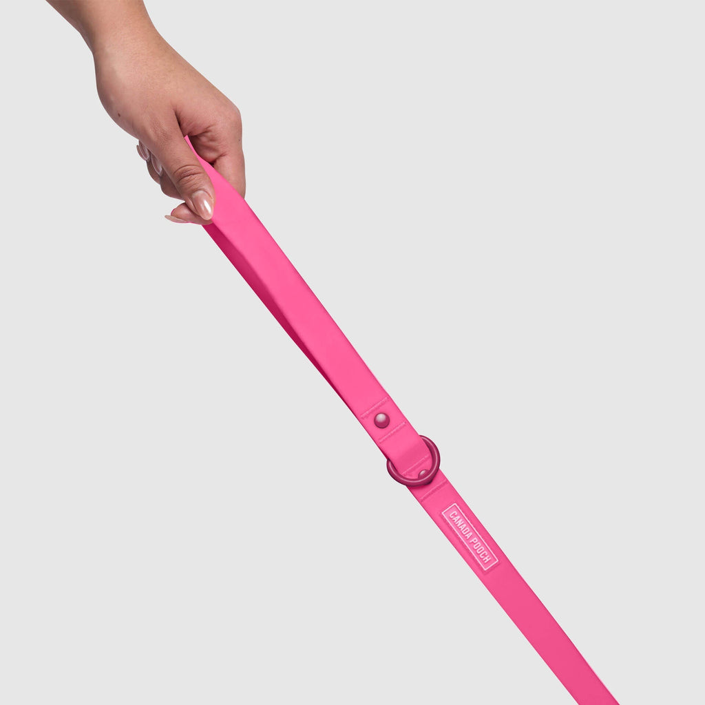 Waterproof Leash - D5IX