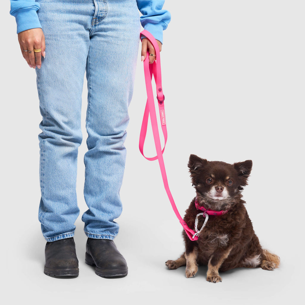 Waterproof Leash - D5IX
