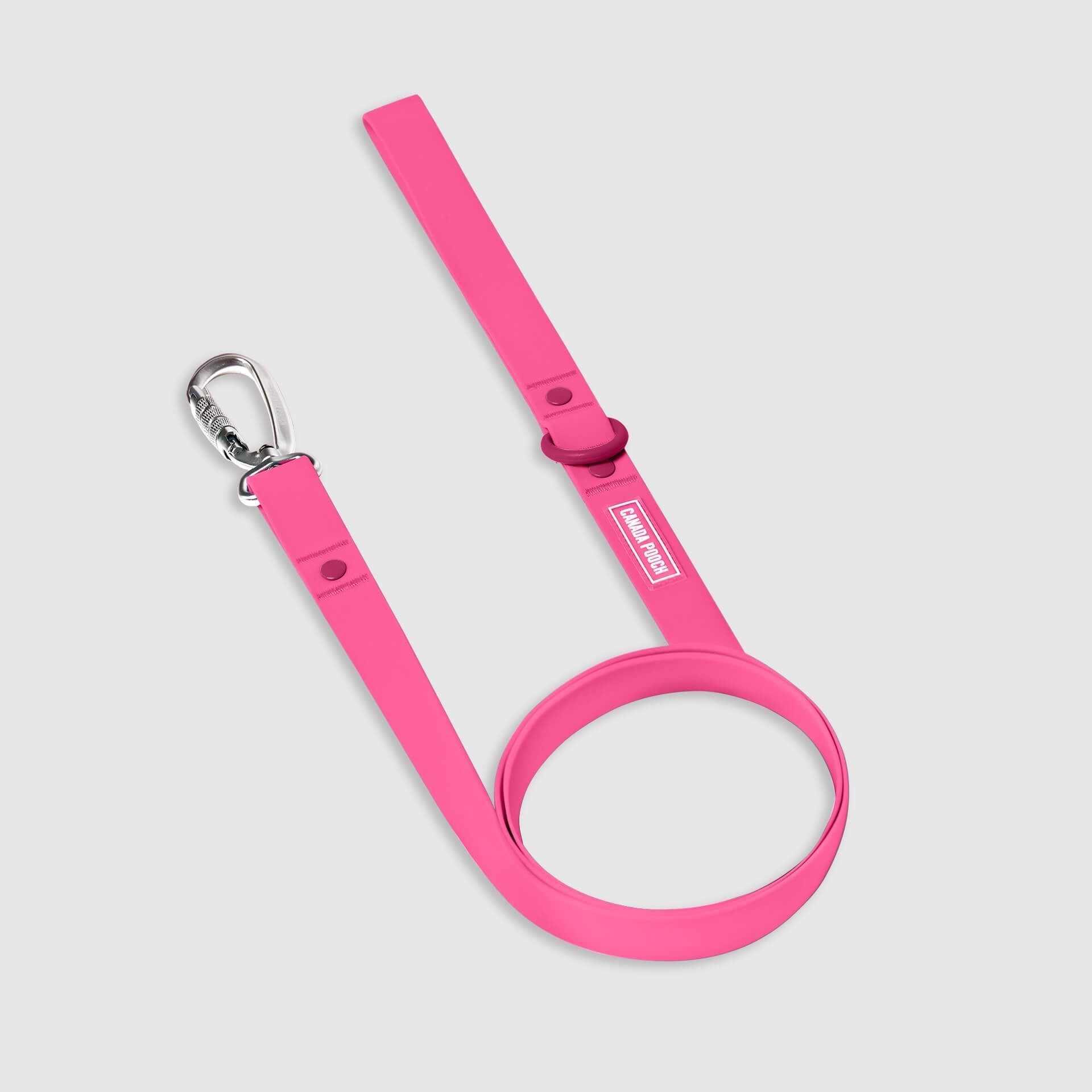Waterproof Leash - D5IX