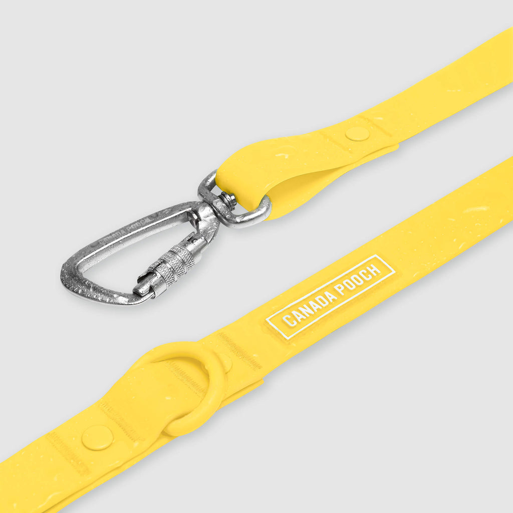 Waterproof Leash - D5IX
