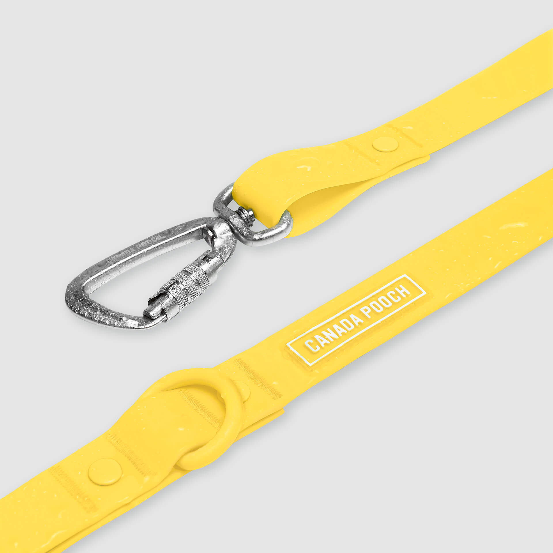 Waterproof Leash - D5IX