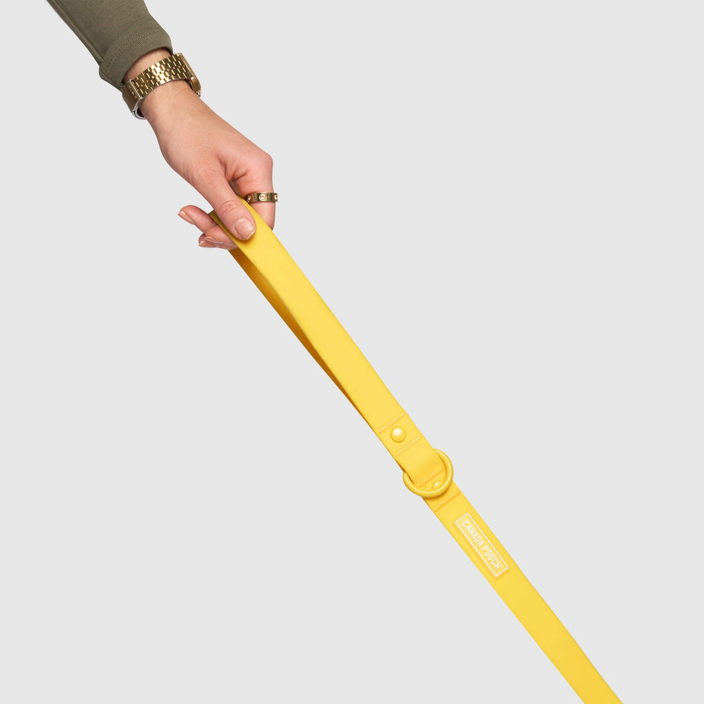 Waterproof Leash - D5IX