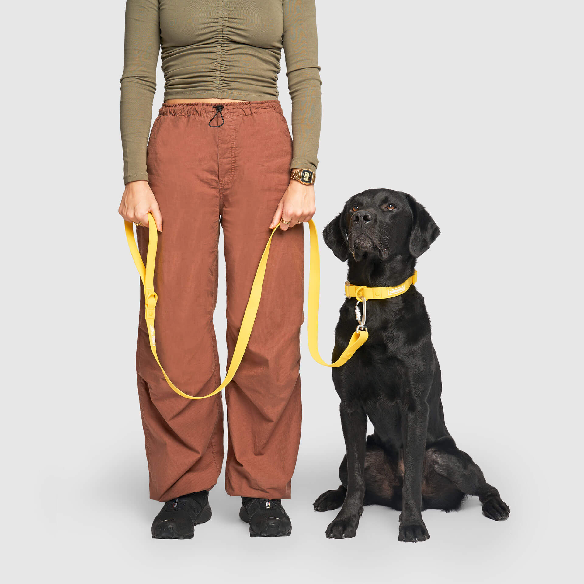 Waterproof Leash - D5IX