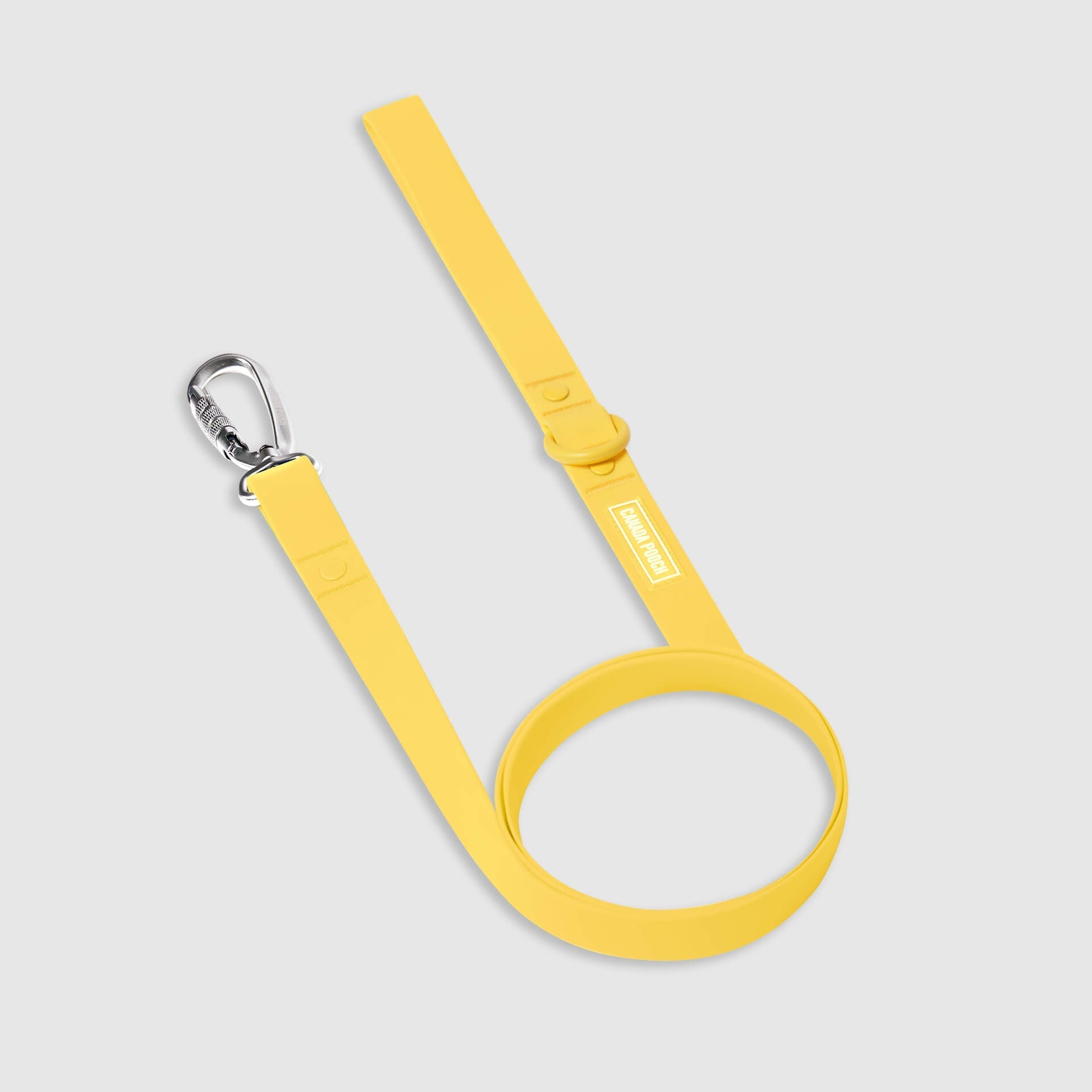 Waterproof Leash - D5IX