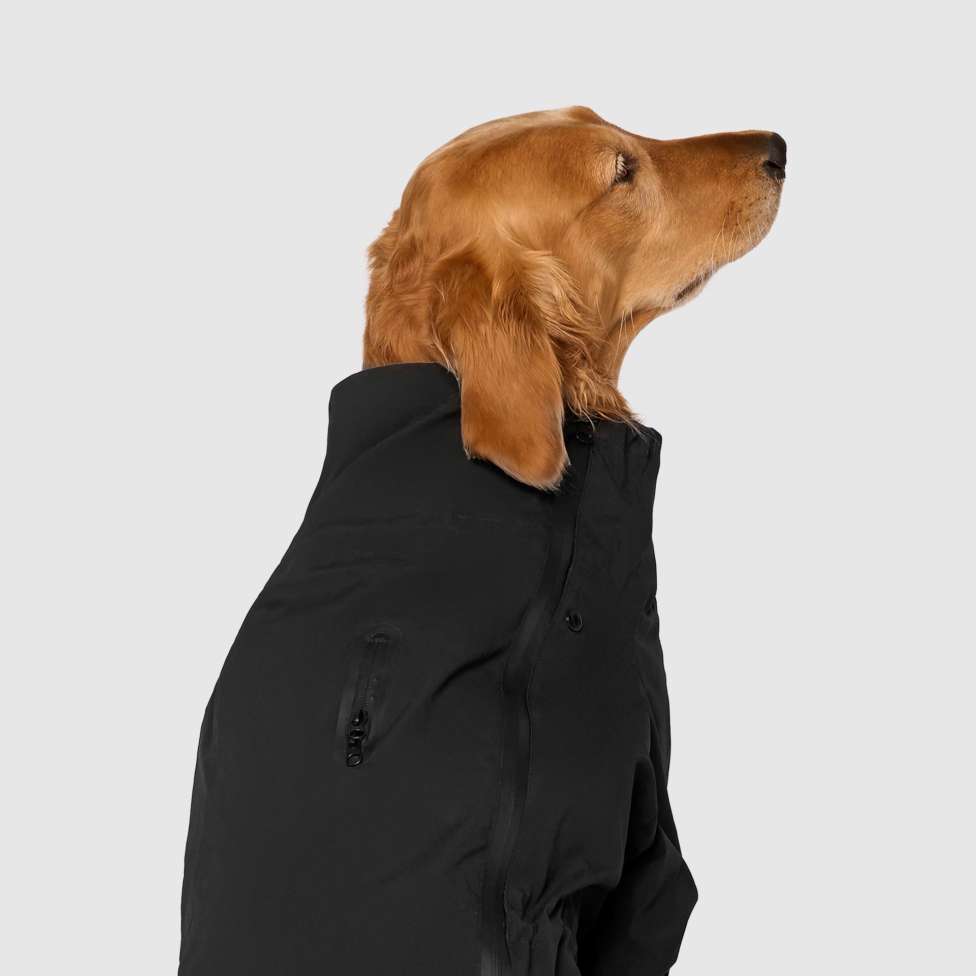 Waterproof Raincoat - FRYA