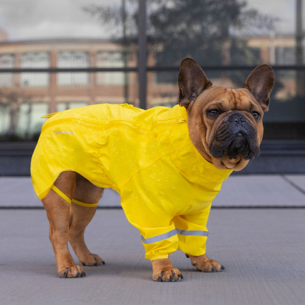 Waterproof Raincoat - FRYA
