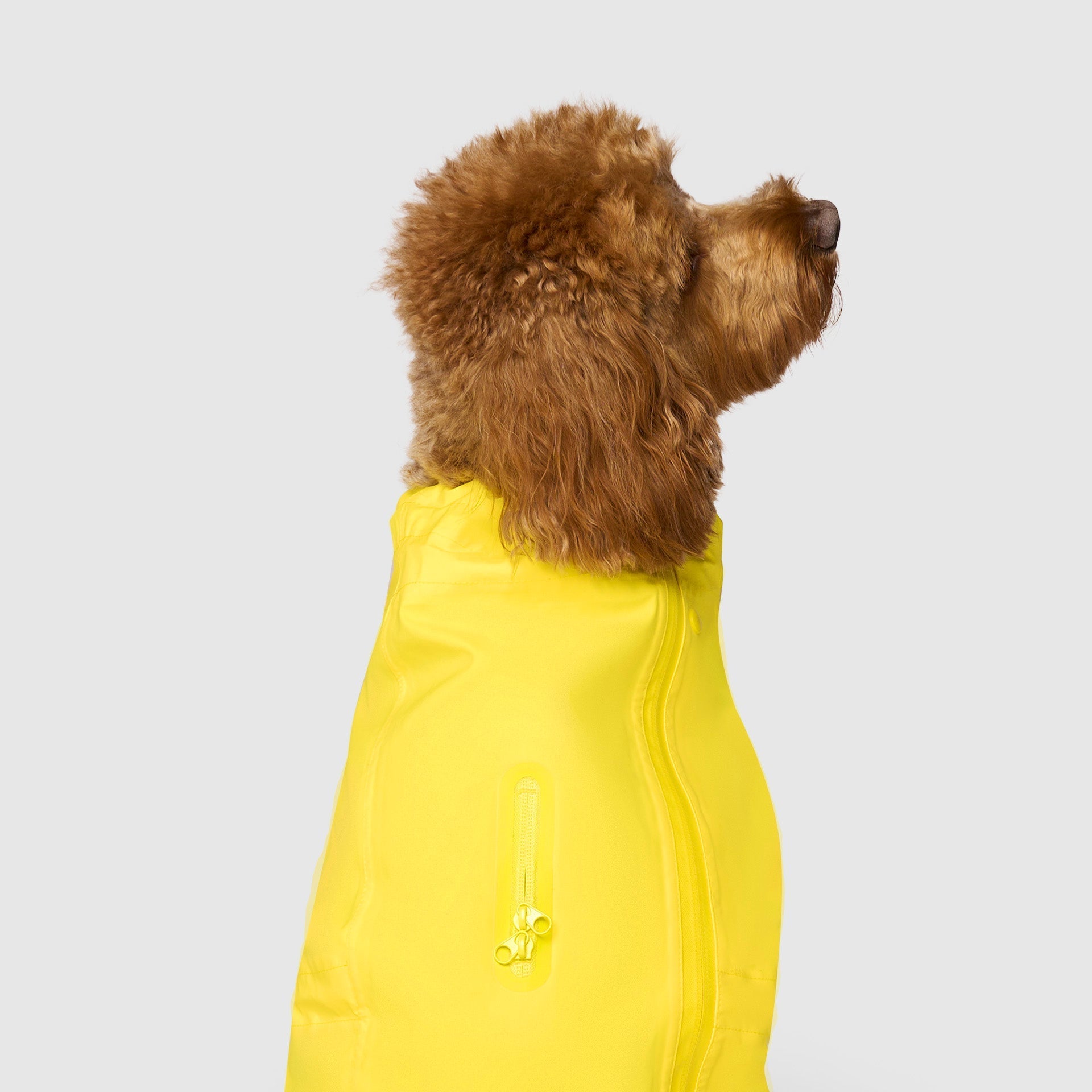 Waterproof Raincoat - FRYA