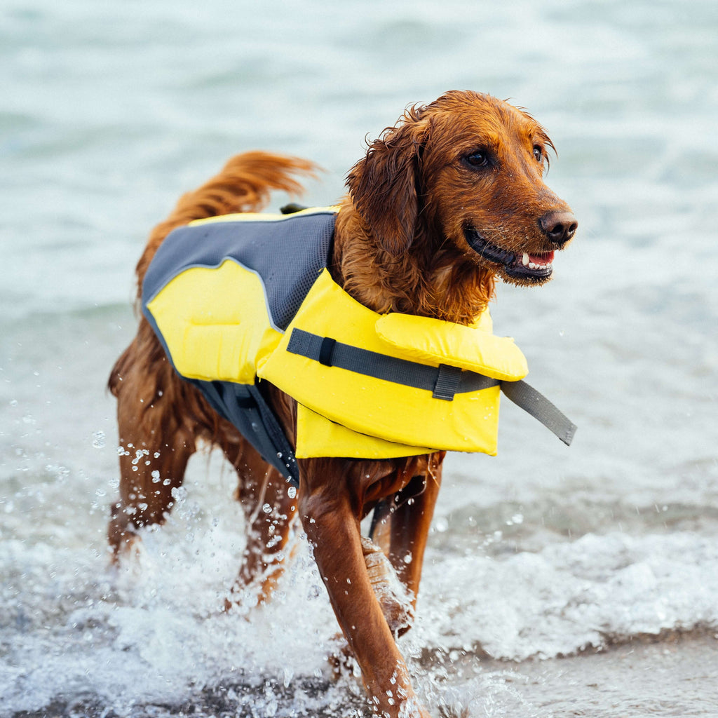 Wave Rider Life Jacket - S0SA