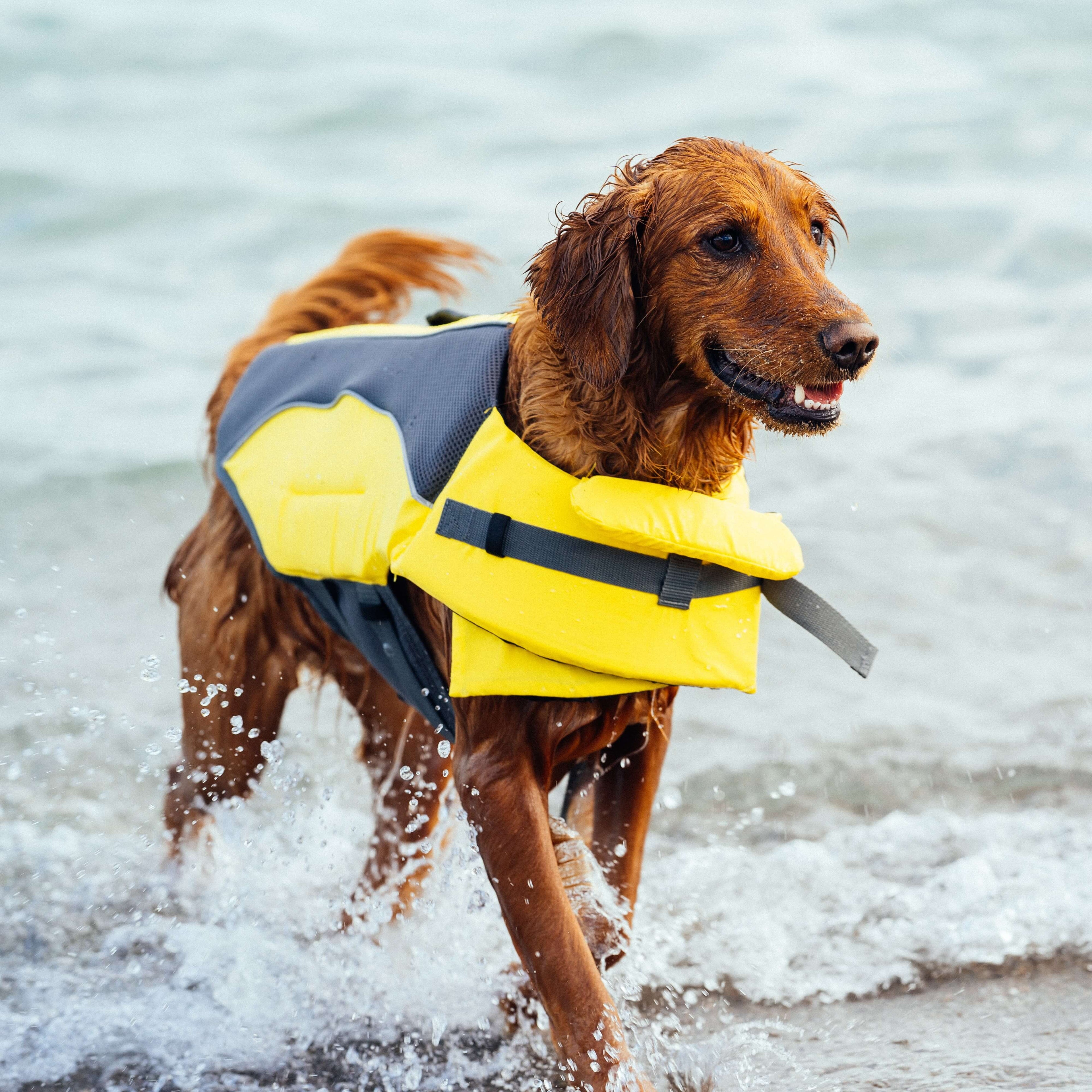 Wave Rider Life Jacket - S0SA