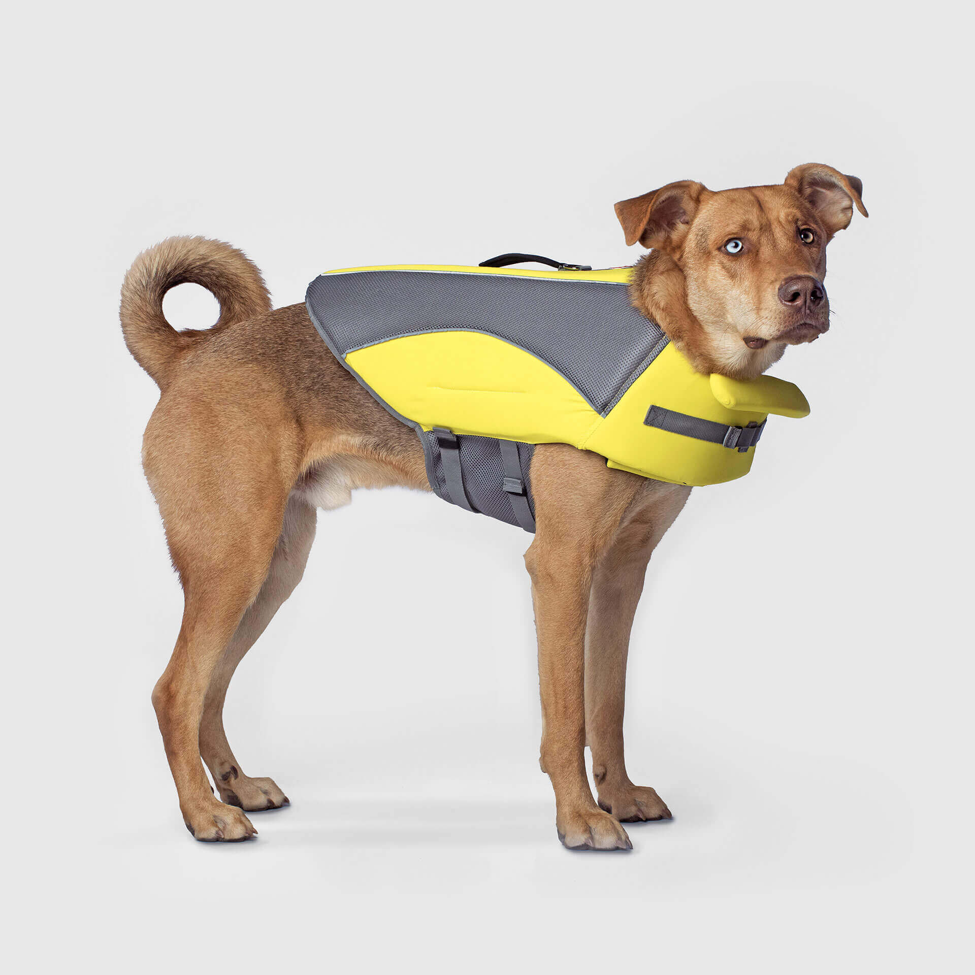 Wave Rider Life Jacket - S0SA